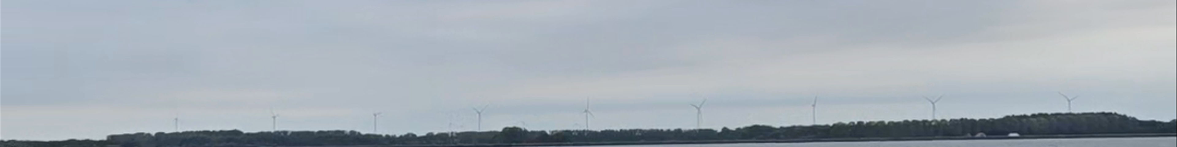 Tours & experiences in Huizen