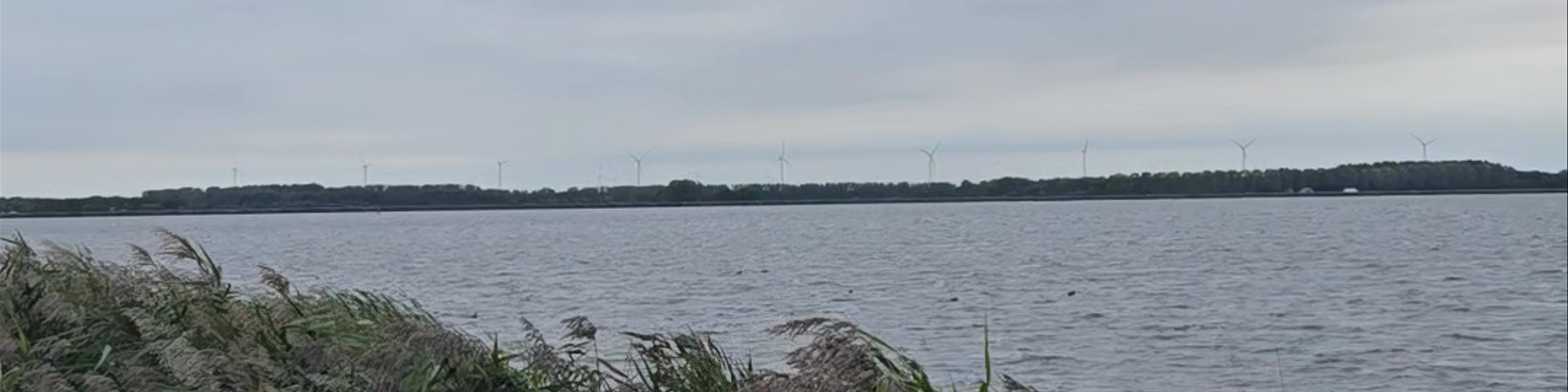Huizen