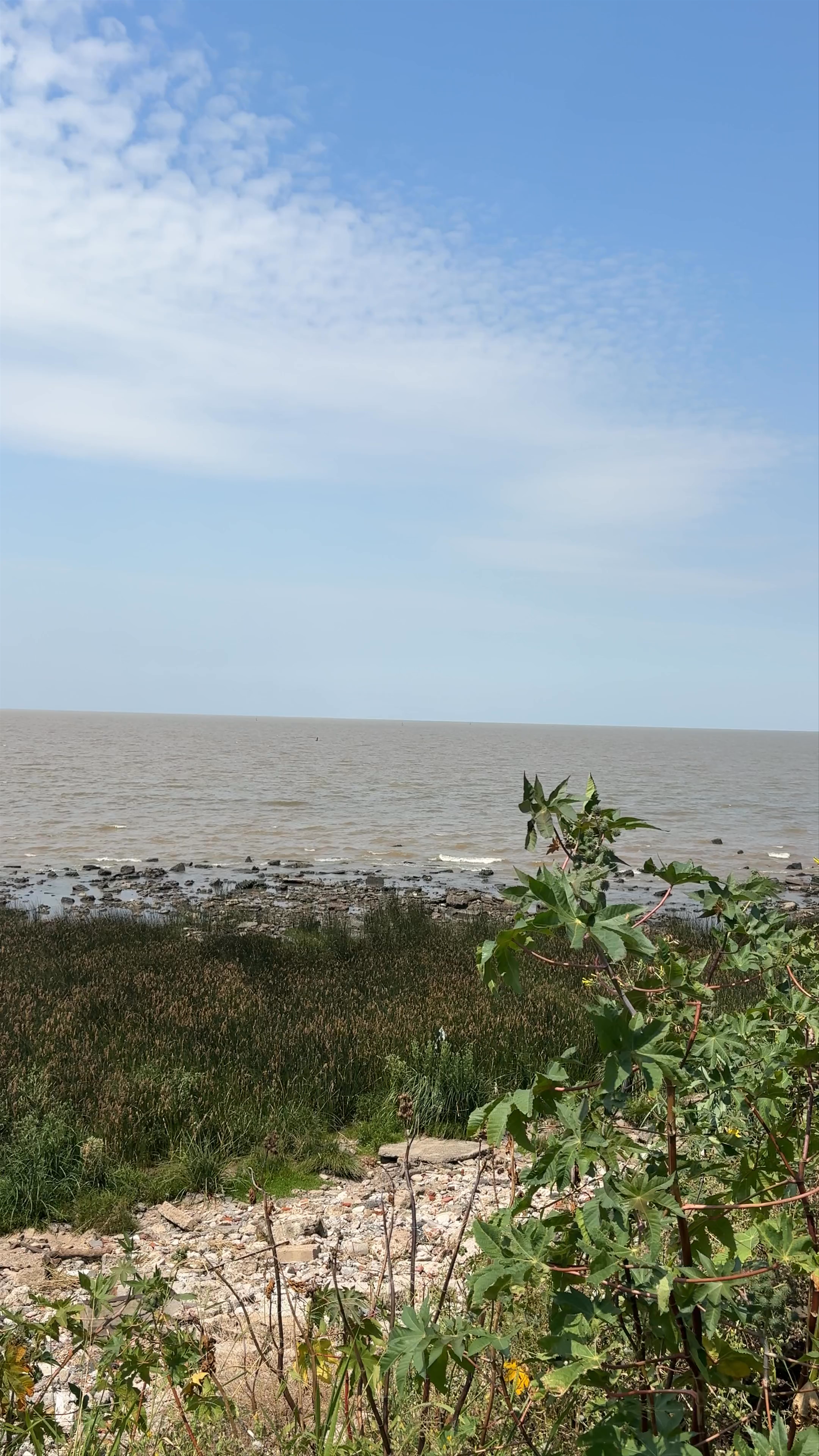 Playa Reserva Ecológica Buenos Aires