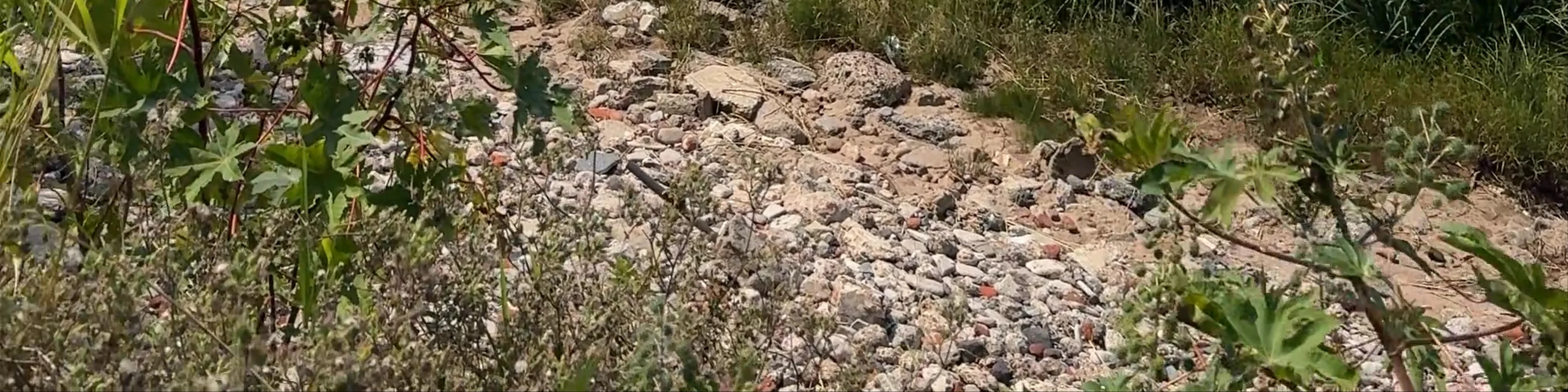 Playa Reserva Ecológica Buenos Aires