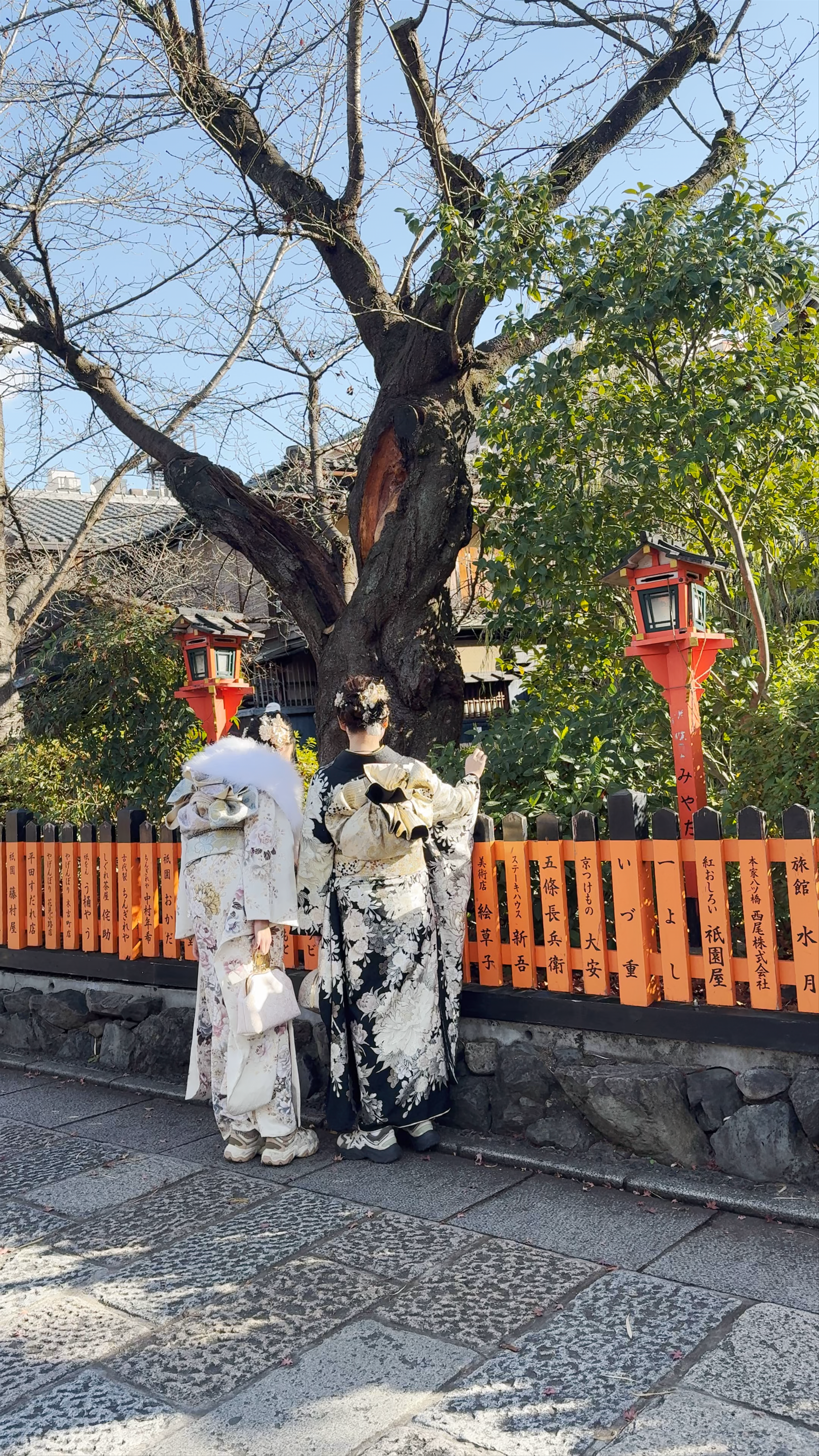 Winter Elegance at Shirakawa Canal, Kyoto