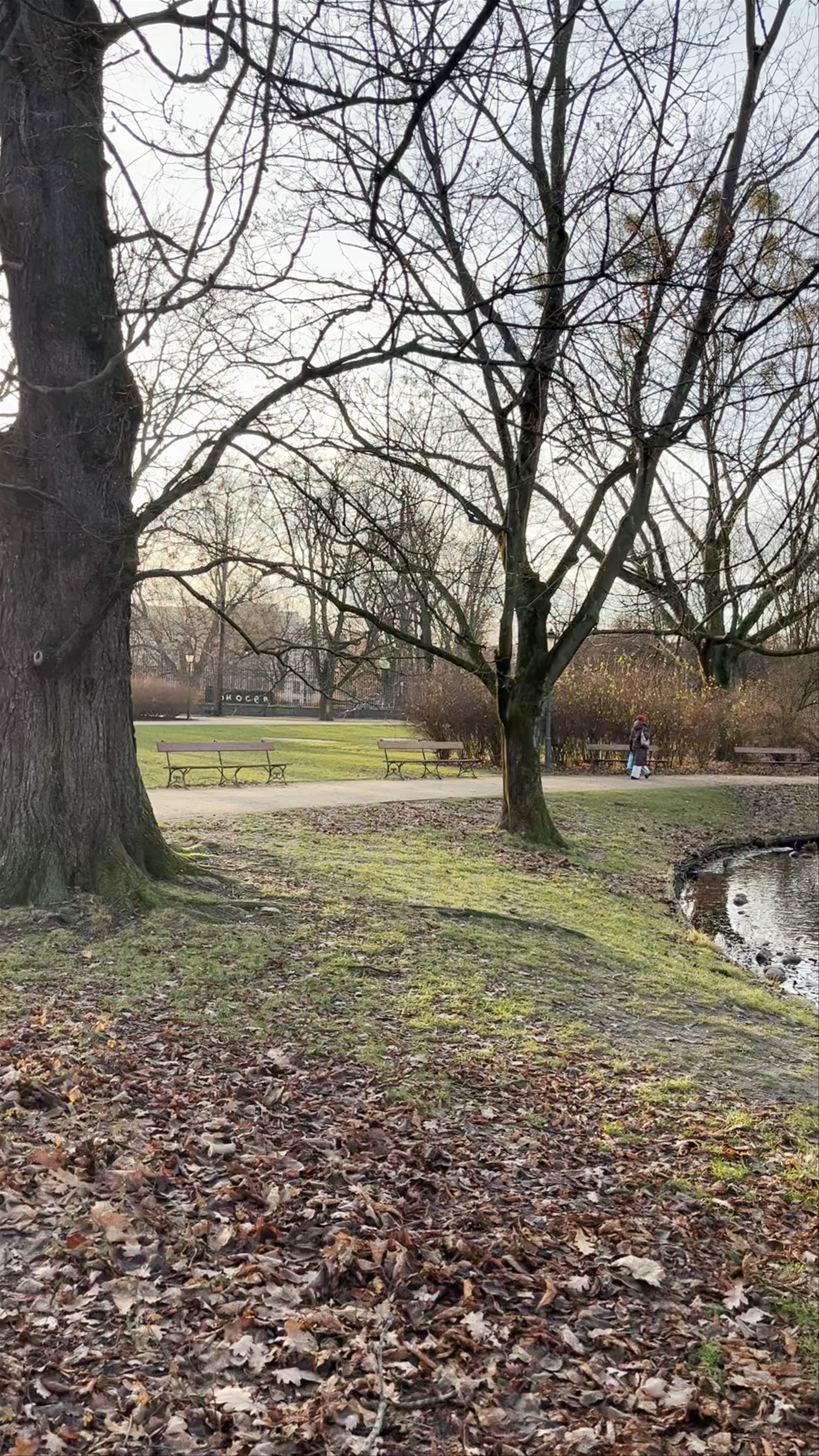 Krasiński Garden