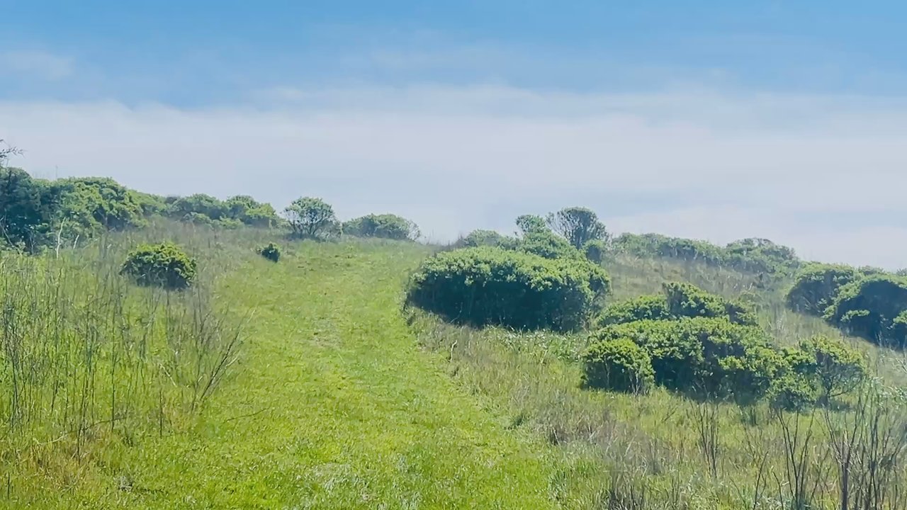 Arched Rock Beach - This view is actually from property above Arch Rock Beach - Parks Near Me - Bodega Bay, California