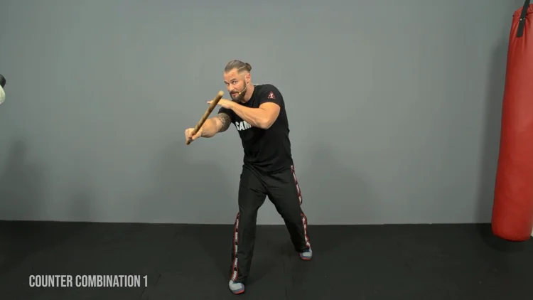 Stick Fighting - Solo Block and Counter Training