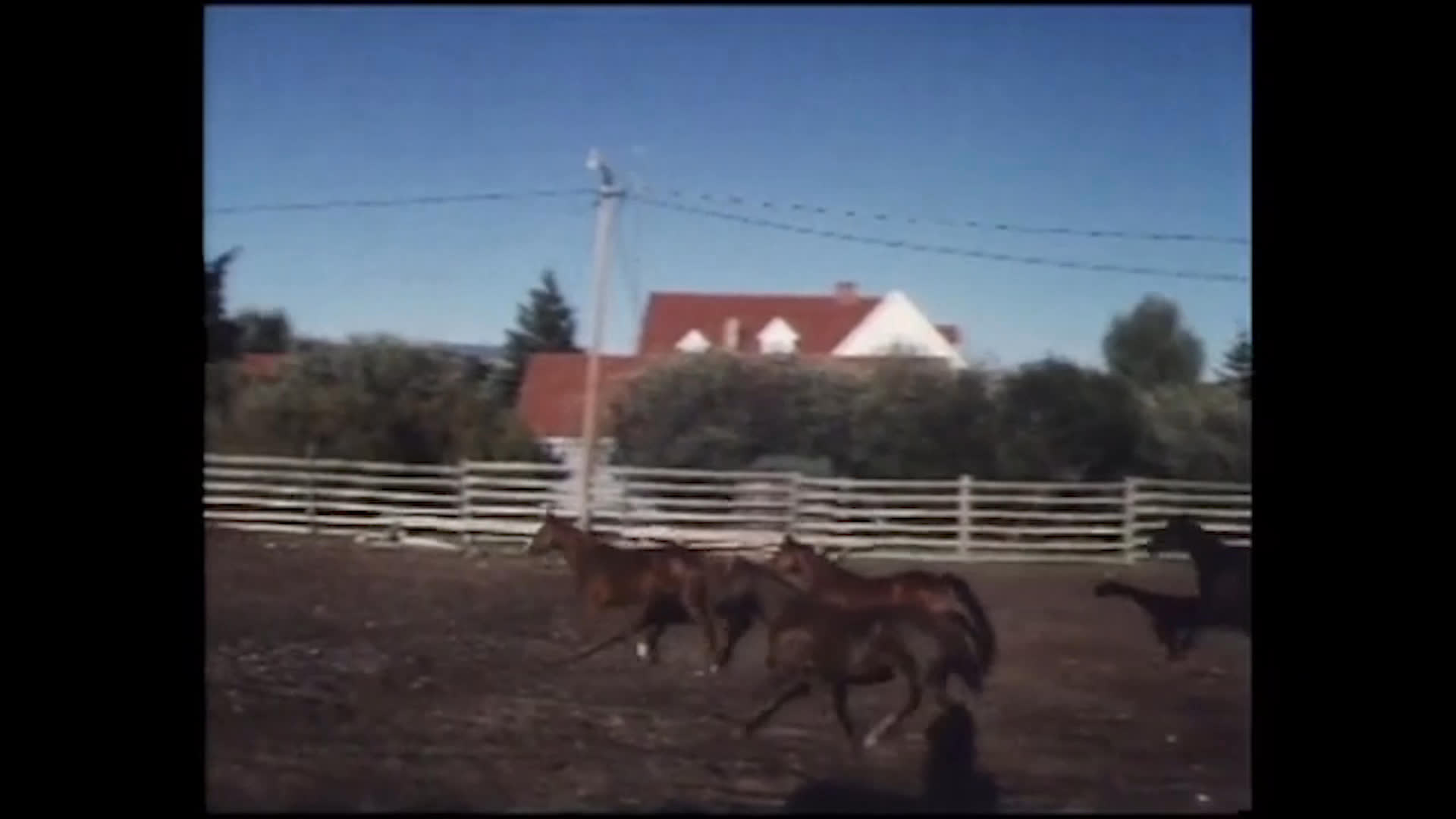 Horses move through fenced paddocks beside ranch buildings as a rancher watches and works livestock through a gate. The routine reflects a commitment to doing the job every day, seven days a week, as stated in the narration.