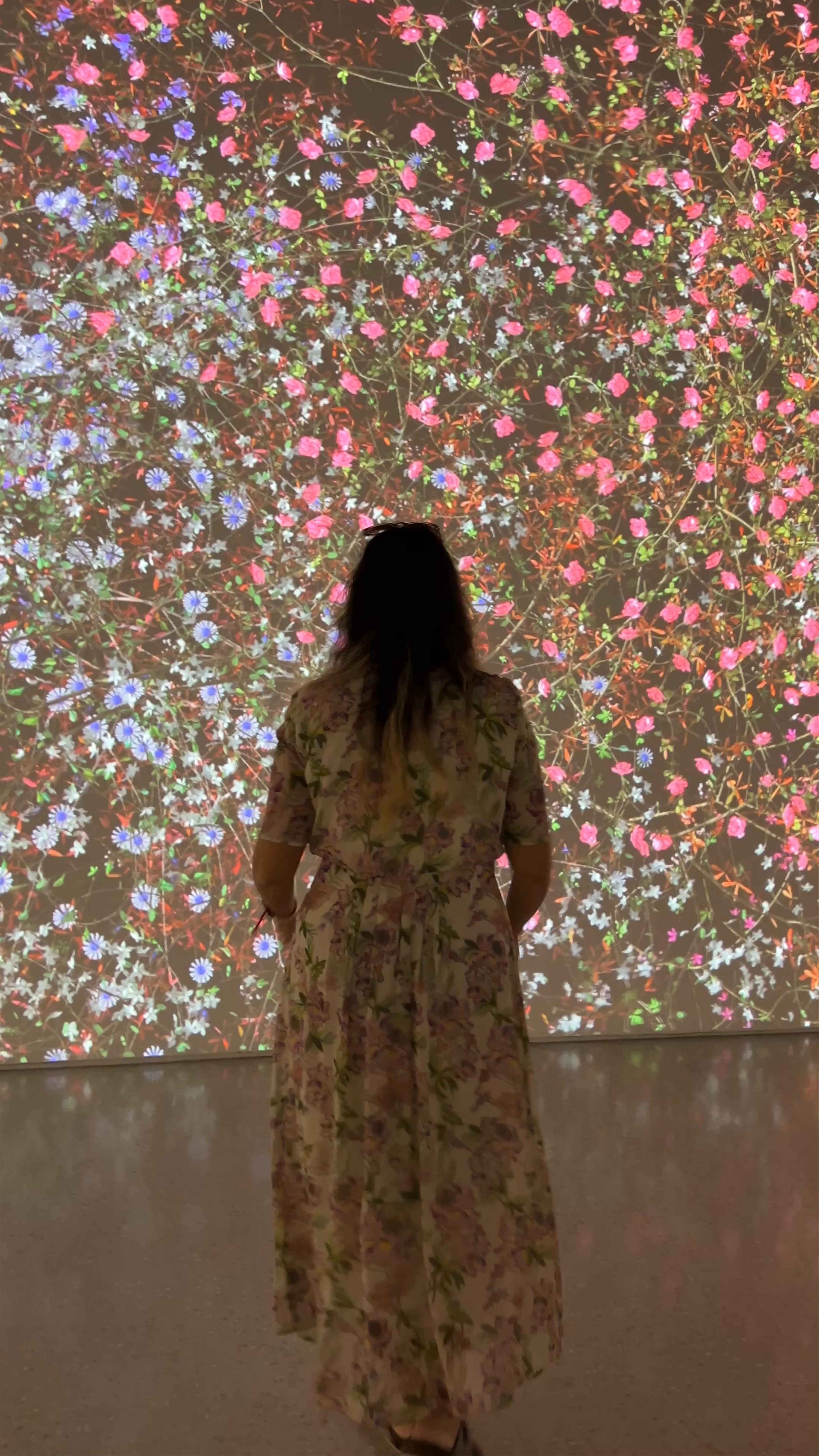 Tampa Museum of Art