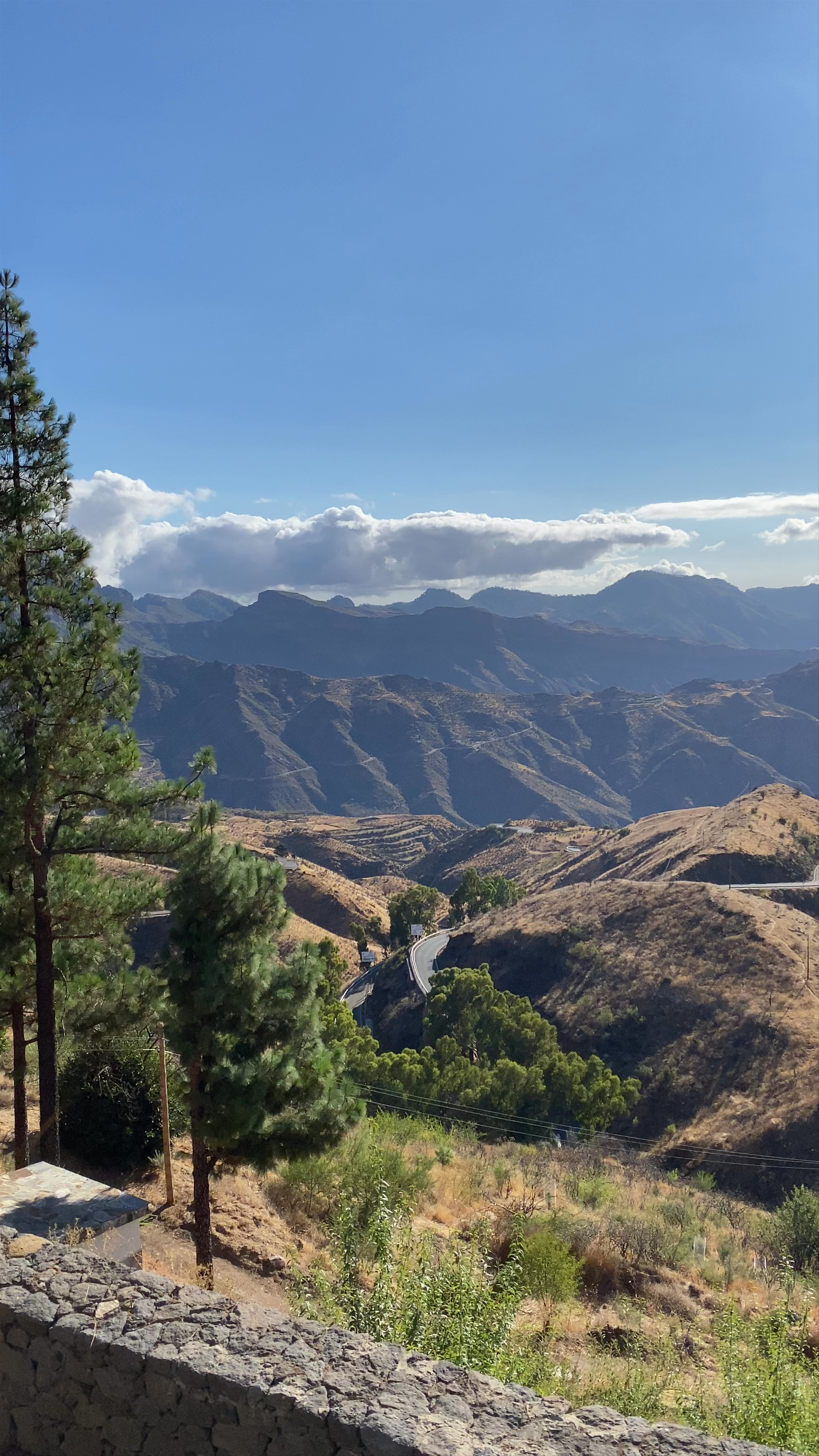 Mirador de Cruz de Tejeda: Panoramic Mountain Views in the Canary Islands