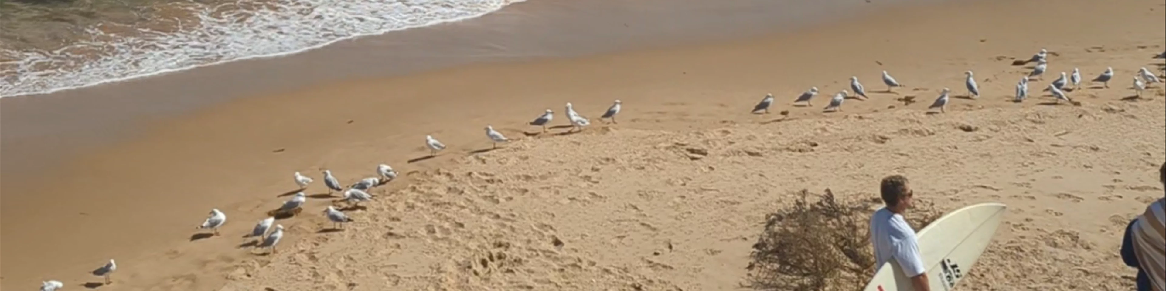 Cosy Corner Beach