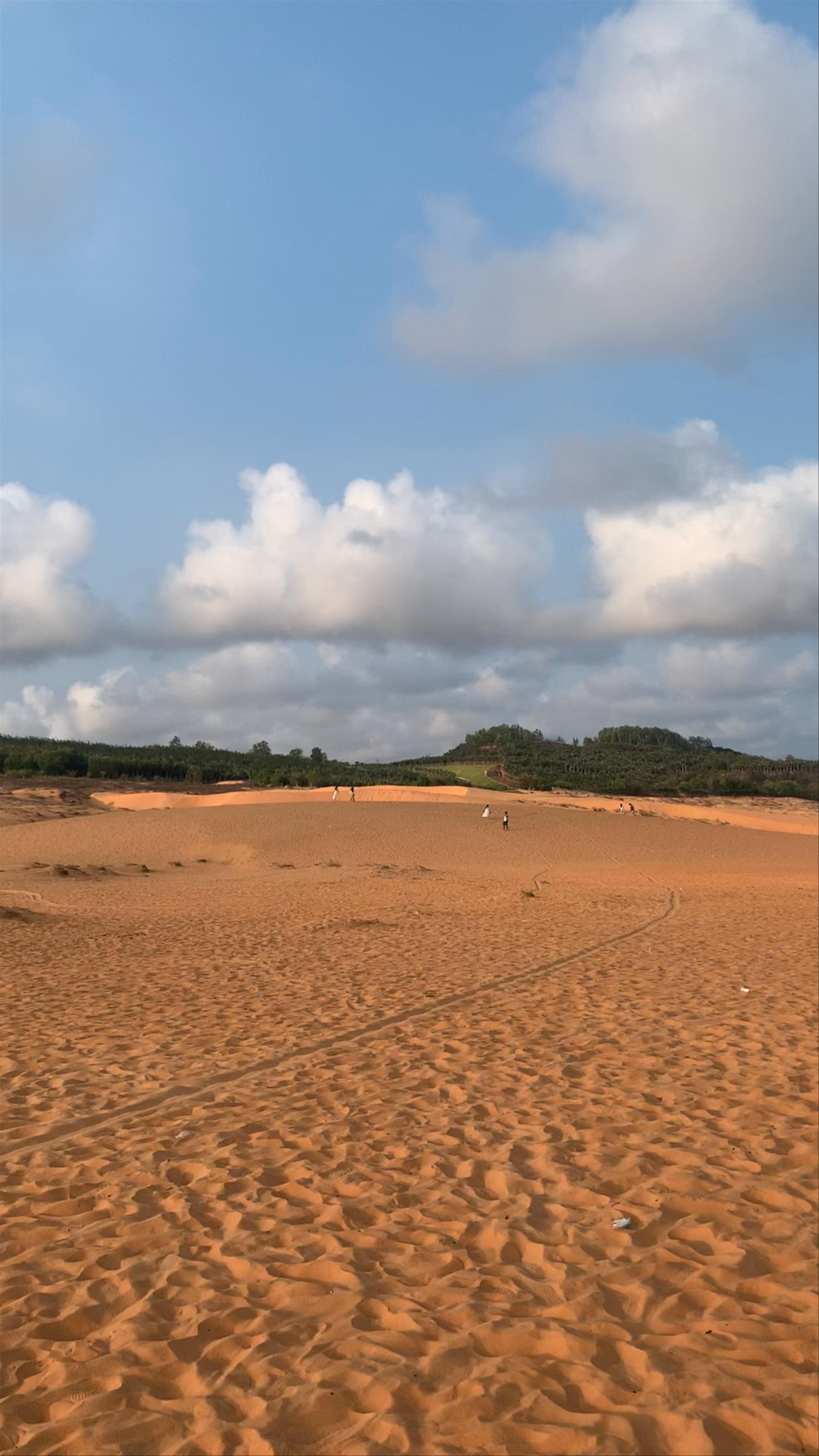 Red Sand Dunes