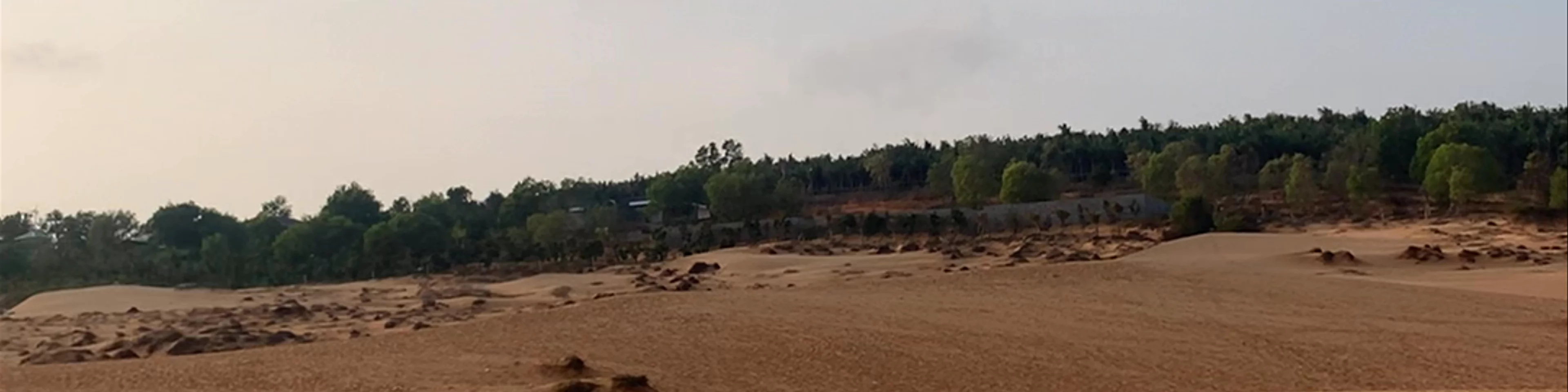 Red Sand Dunes