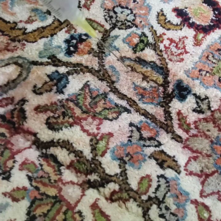 Carpet Line - Damage Restoration Near Me - East Brunswick, New Jersey
