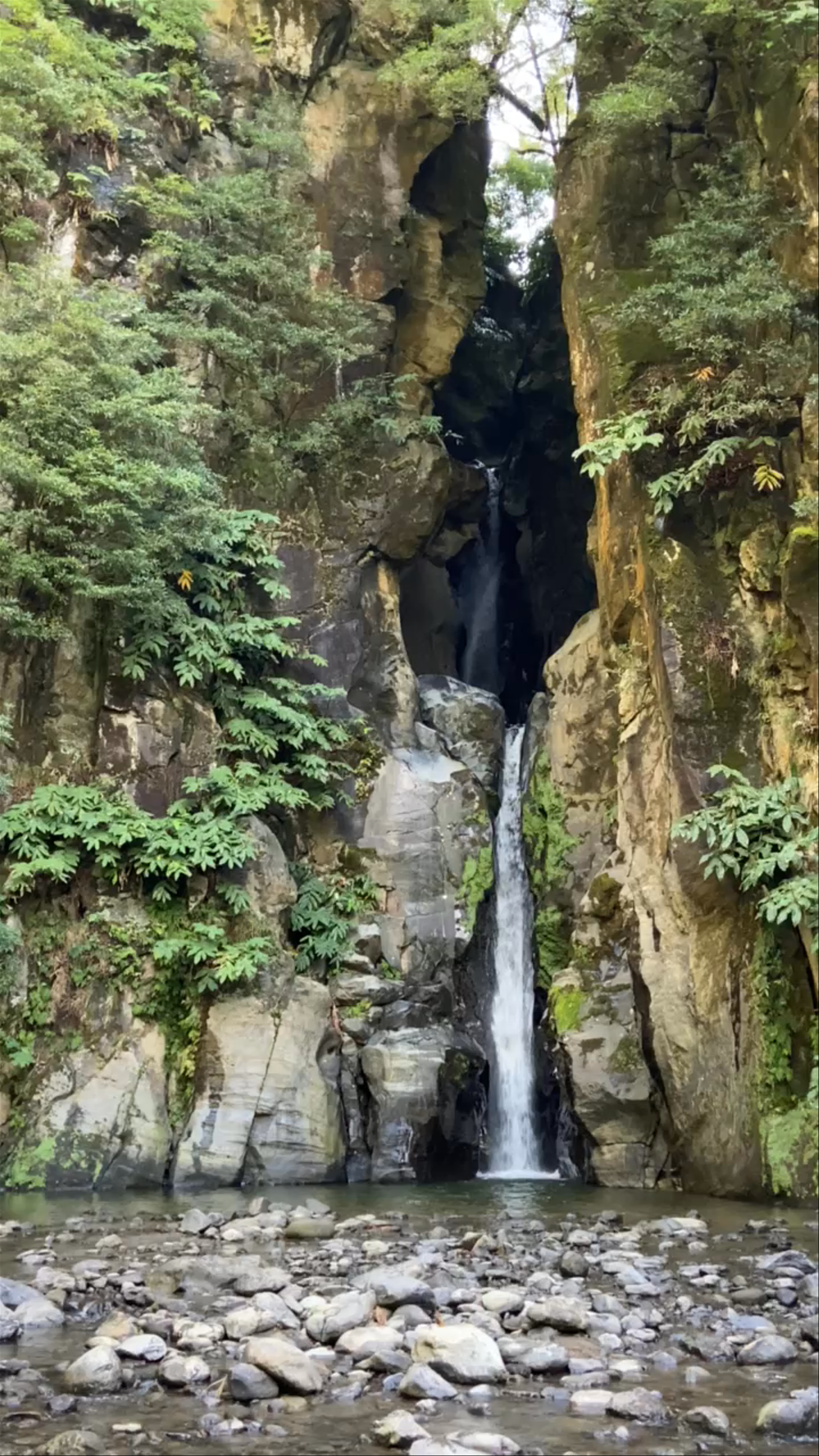 Salto do Cabrito Waterfall: A Lush Escape in Ponta Delgada, Azores
