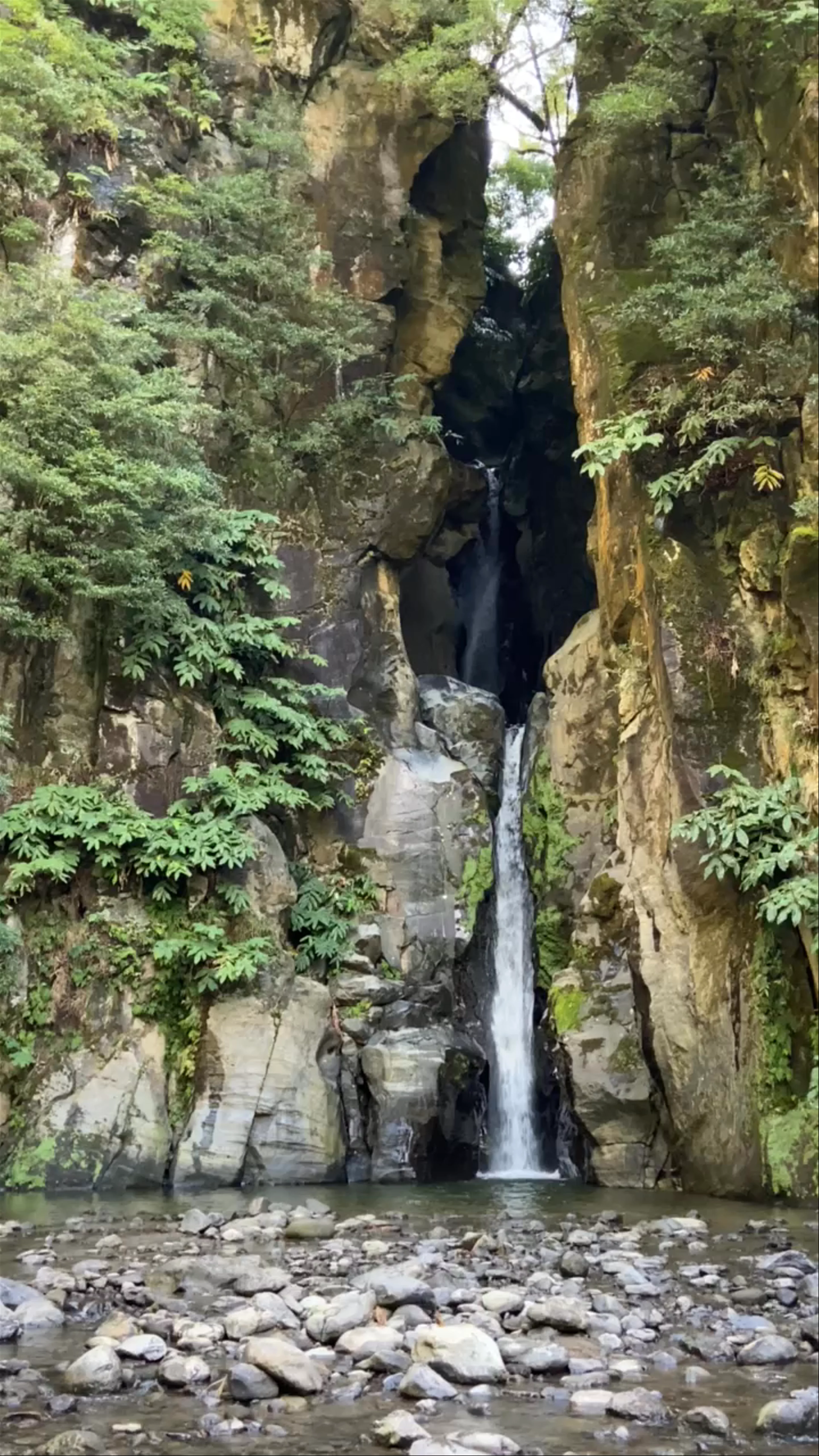 Salto do Cabrito, Rua Doctor José Bruno Tavares Carreiro