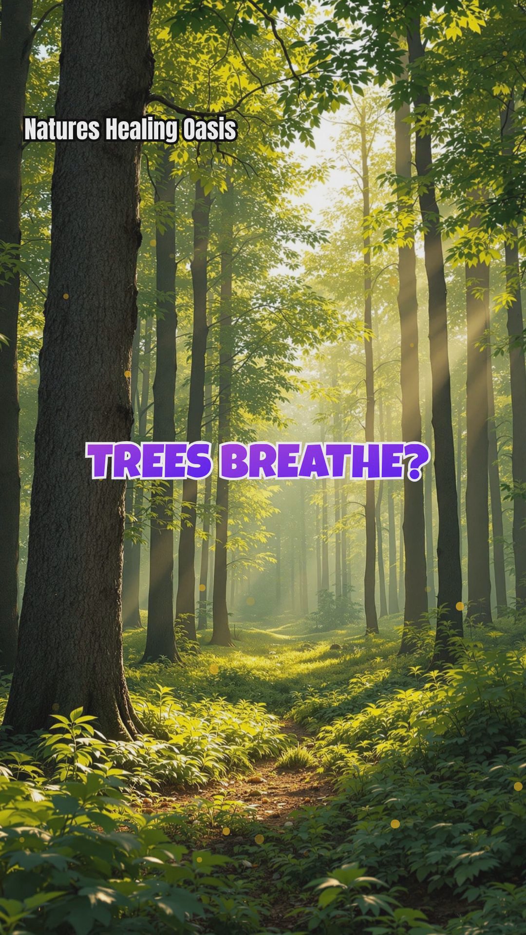 Pranayama in the Woods: Breathing with Trees