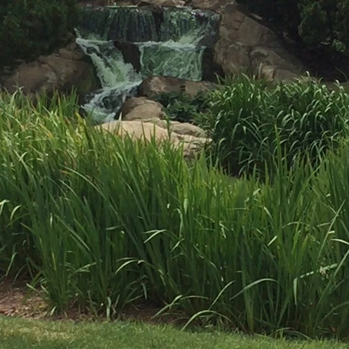 Dunne Park - Small but charming man made waterfall. - Parks Near Me - Rosemont, Illinois