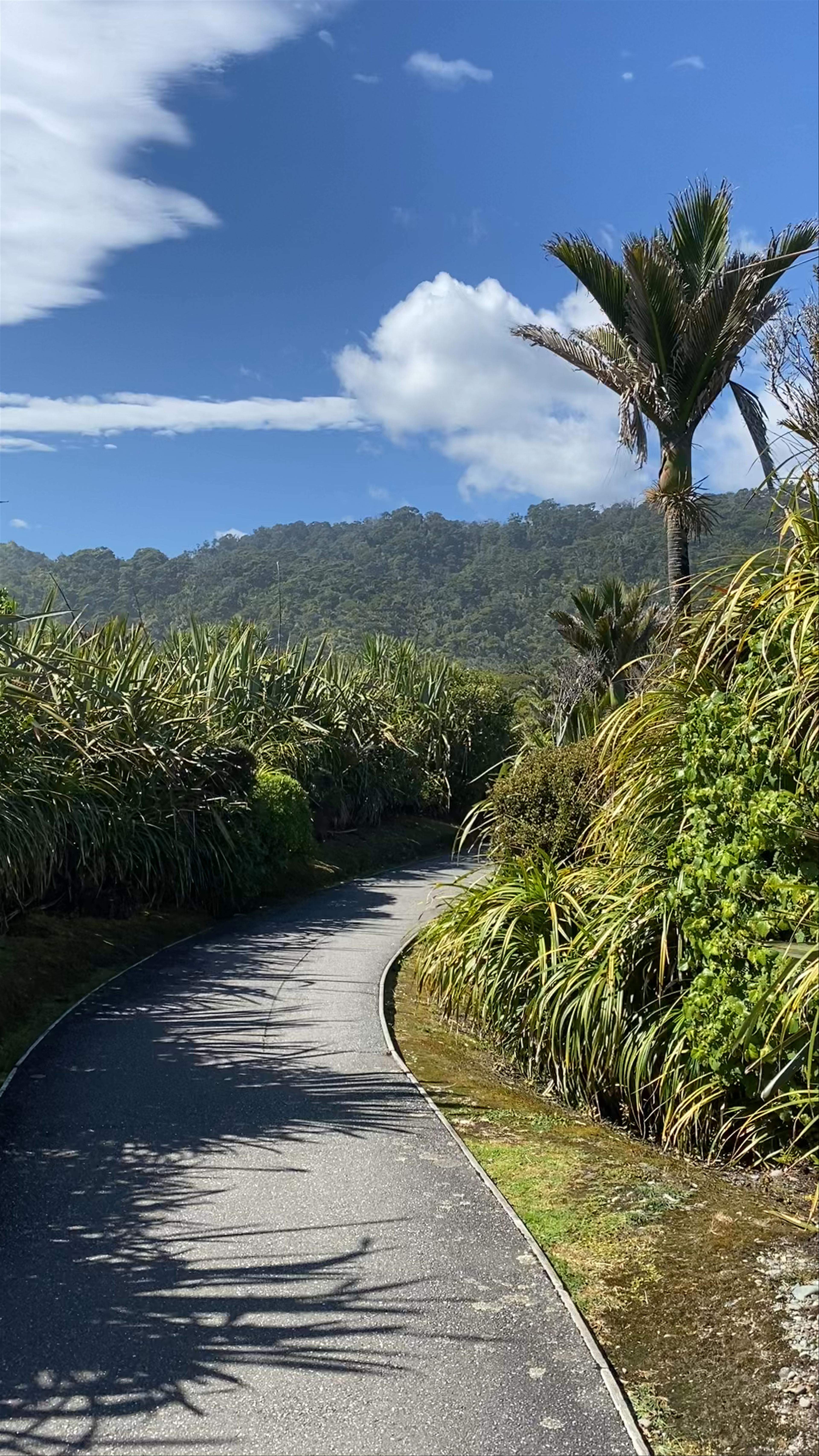 Pancake Rocks and Blowholes Track