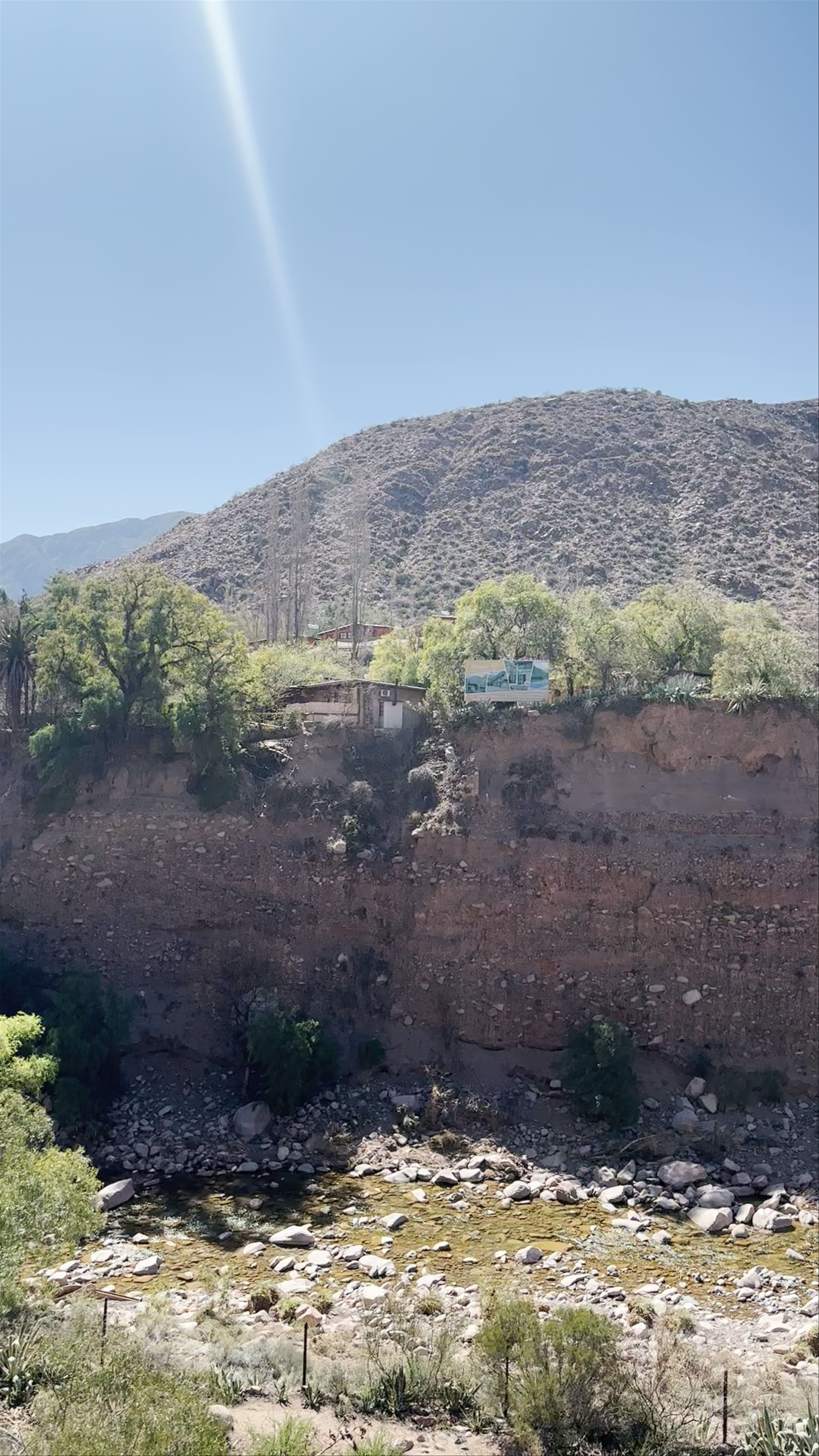 Los Cactus Cacheuta