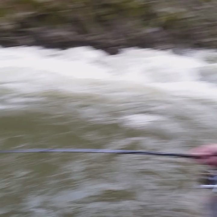 Basin Tackle Shop - The first steelhead of the year! - Sporting Goods Near Me - Coos Bay, Oregon
