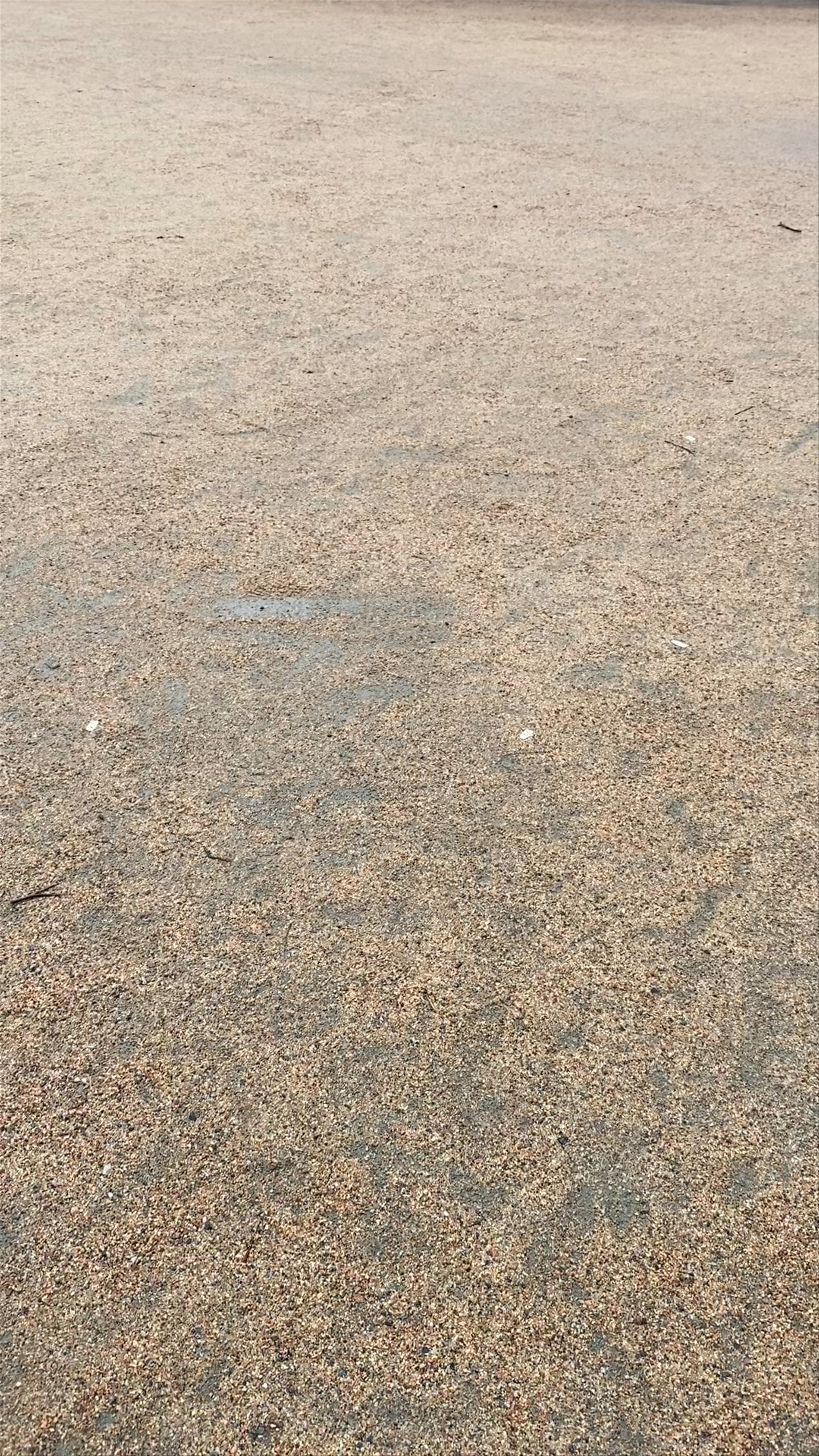 Gothenburg Cathedral