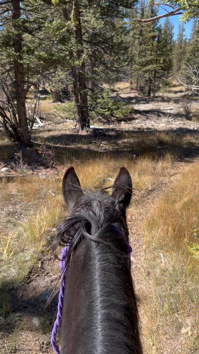 Platte Ranch Double B Riding Stables - Horseback Riding Near Me