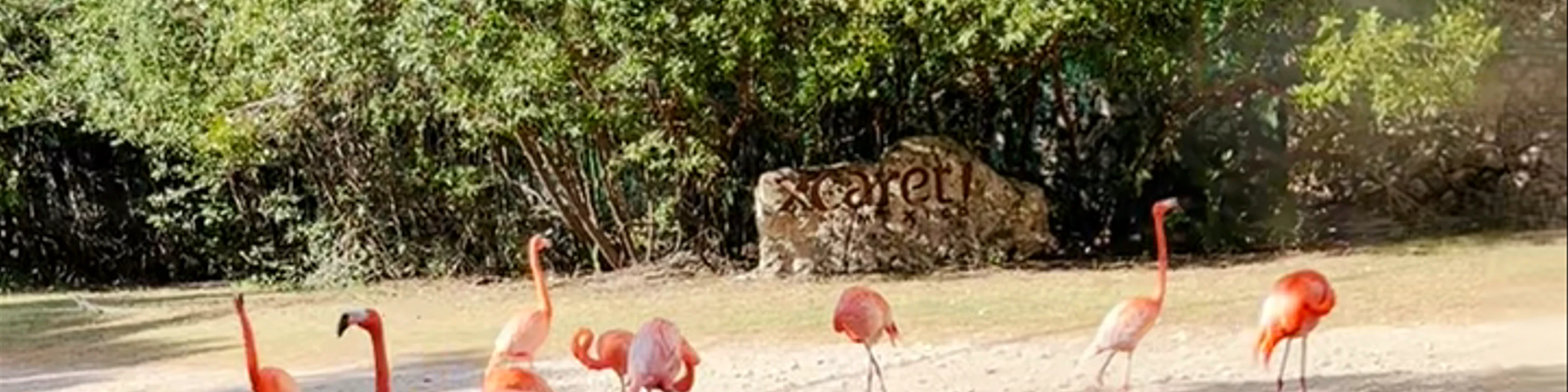 Parque Xcaret