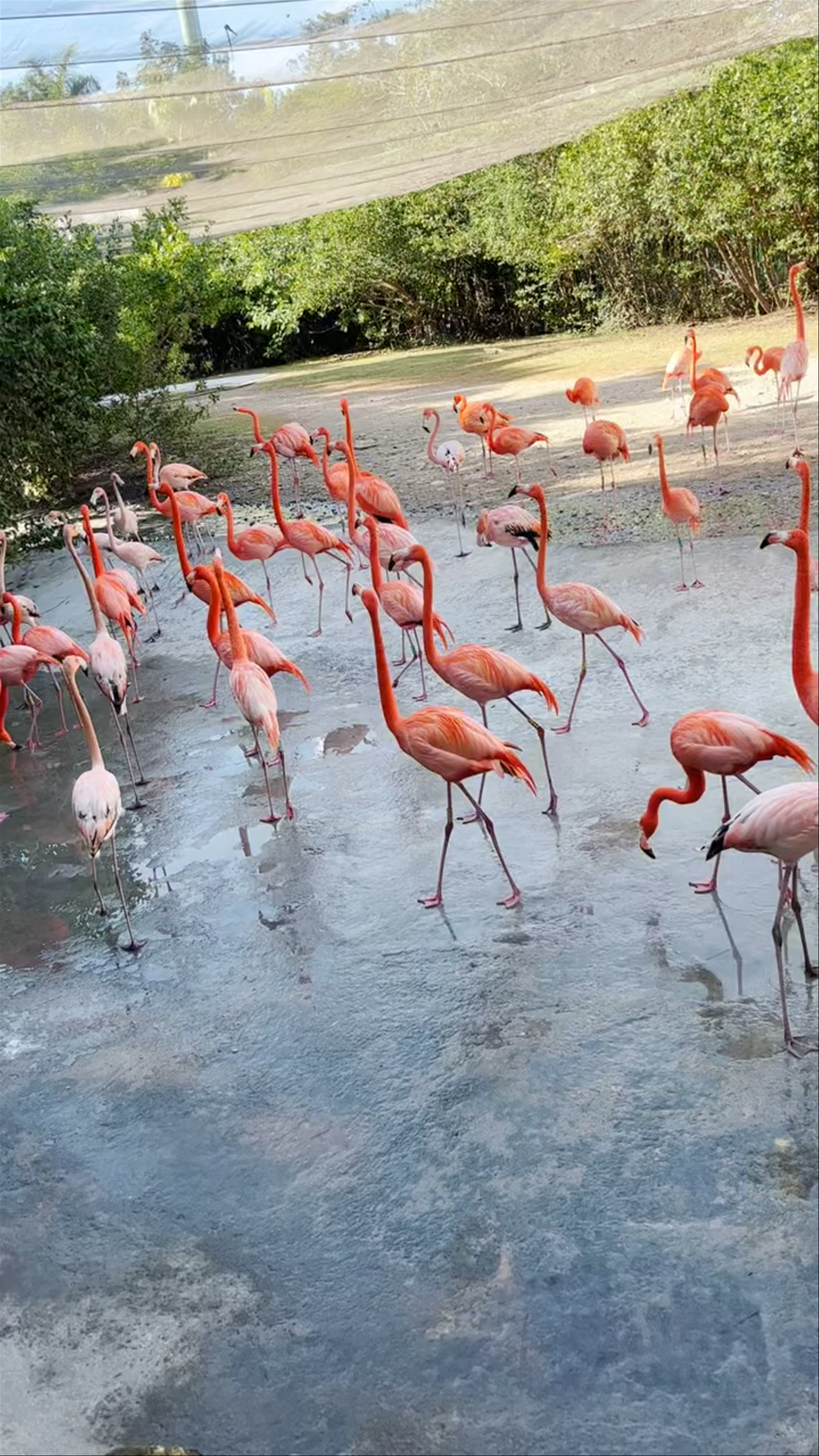 Parque Xcaret