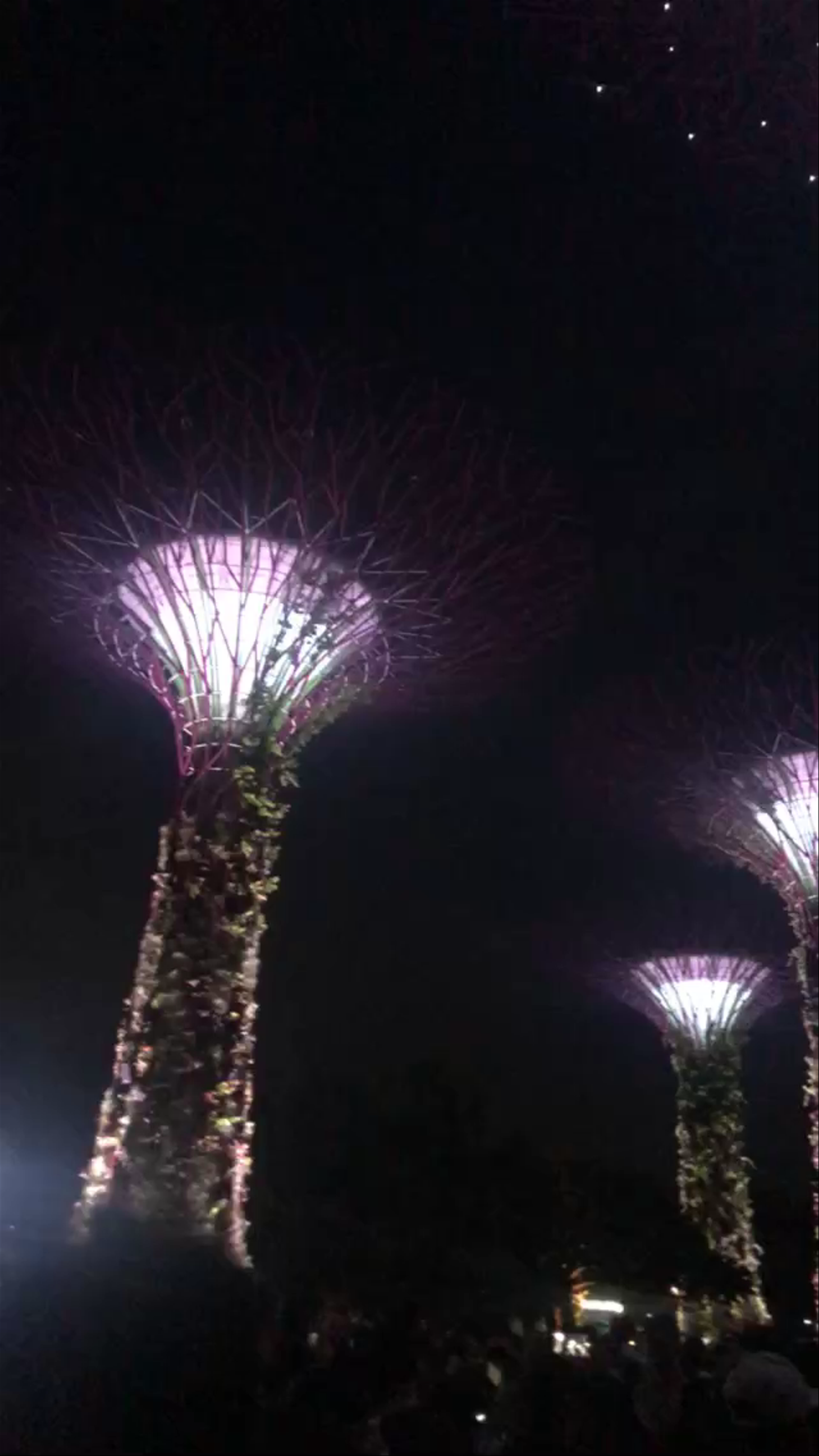 Supertree Observatory Light Show at Marina Gardens Drive, Singapore