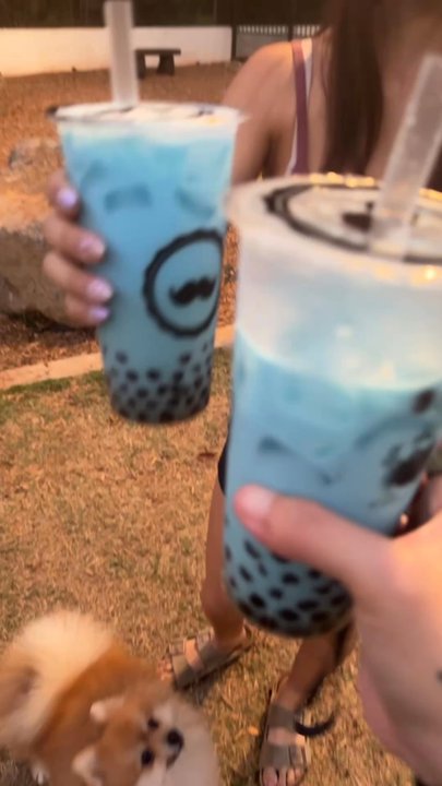 Mr Tea Cafe - Cotton candy milk tea - Bubble Tea Near Me - Honolulu, Hawaii
