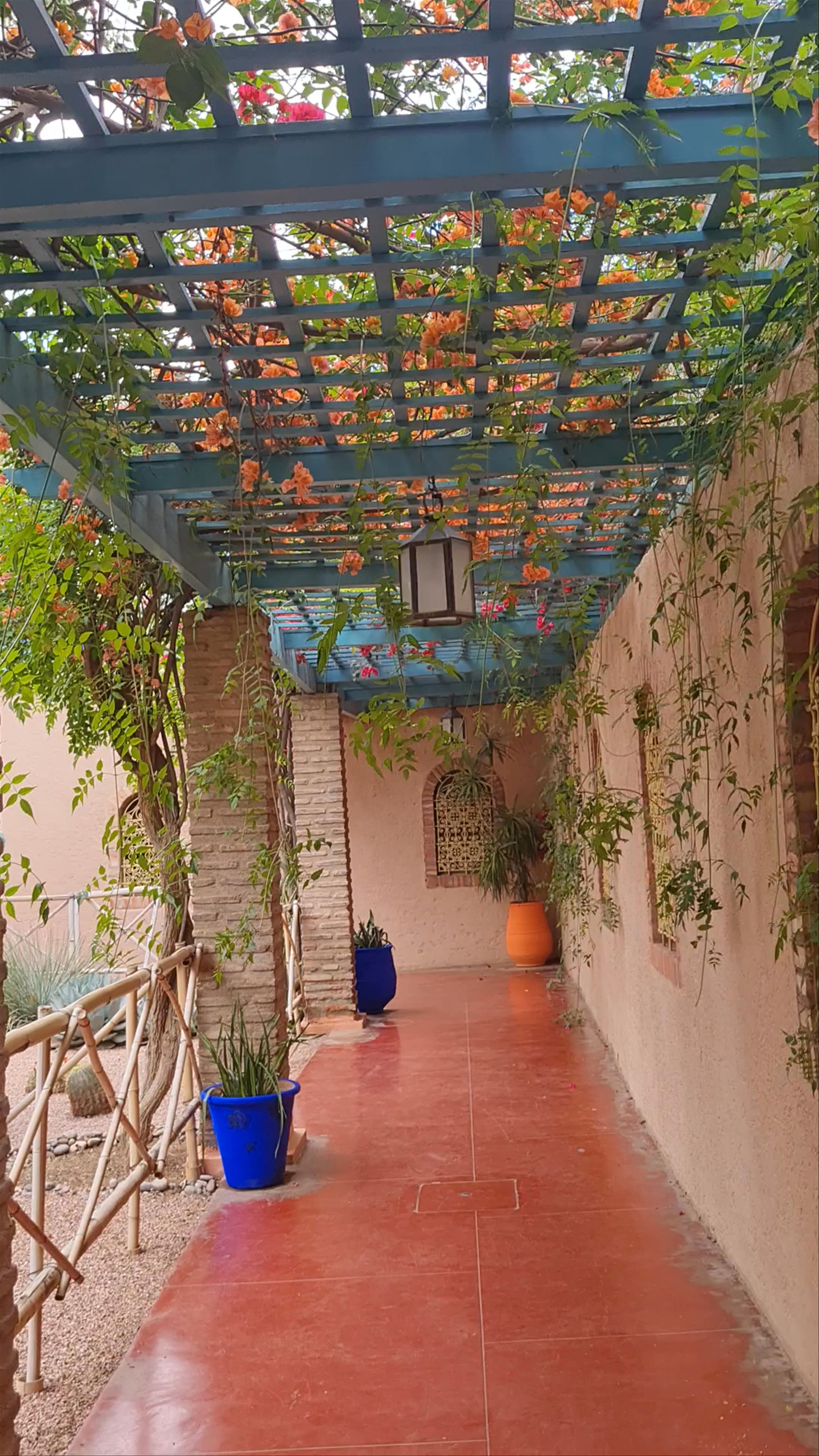 Jardin Majorelle