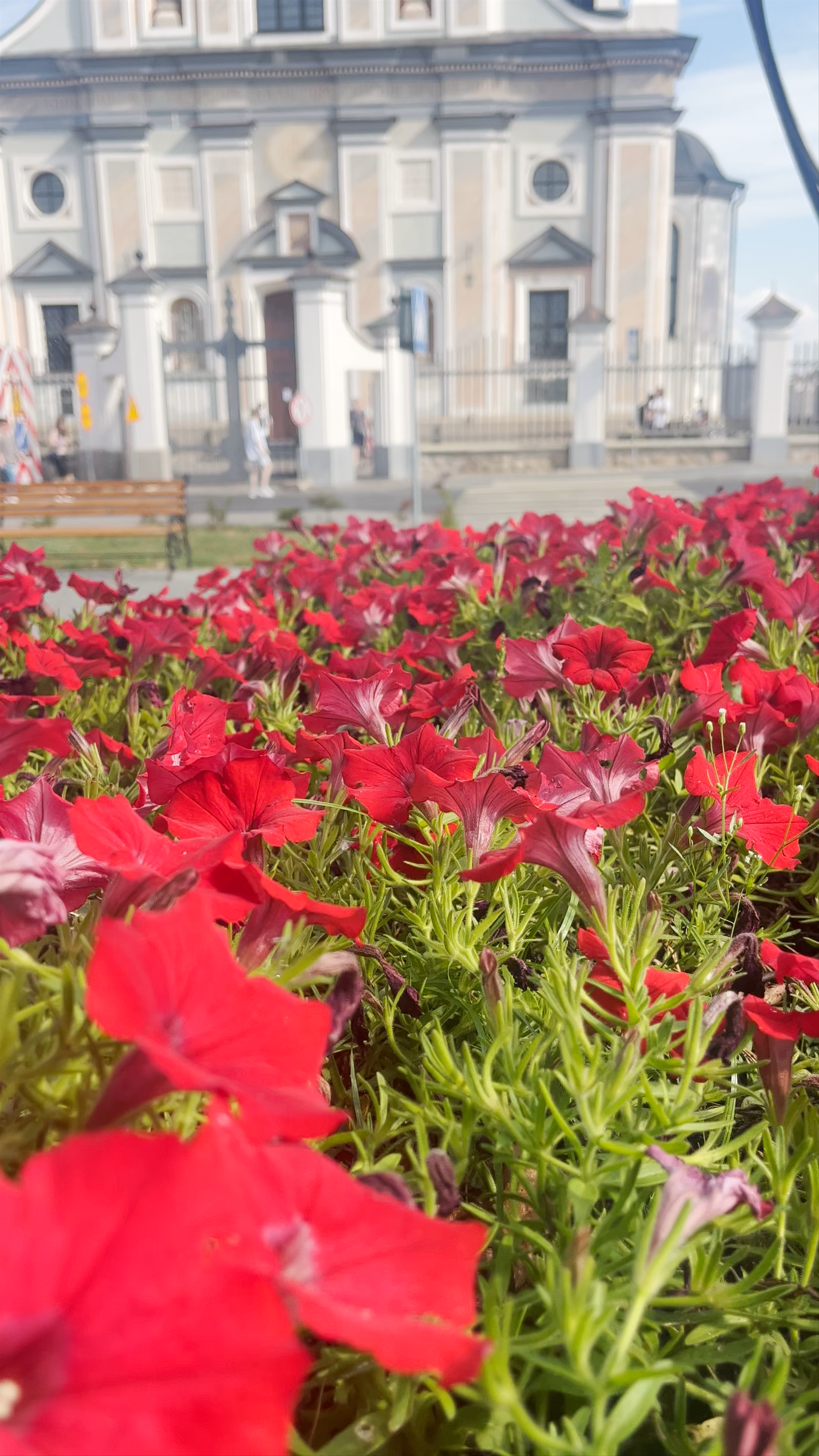 Catholic Corpus Christi