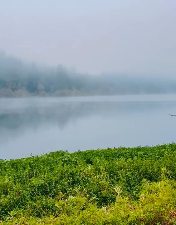 Riverfront Regional Park - Parks Near Me - Healdsburg, California