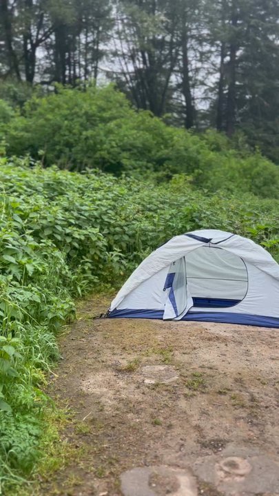 Glen Camp - Site 9 - Hiking Near Me - Point Reyes Station, California