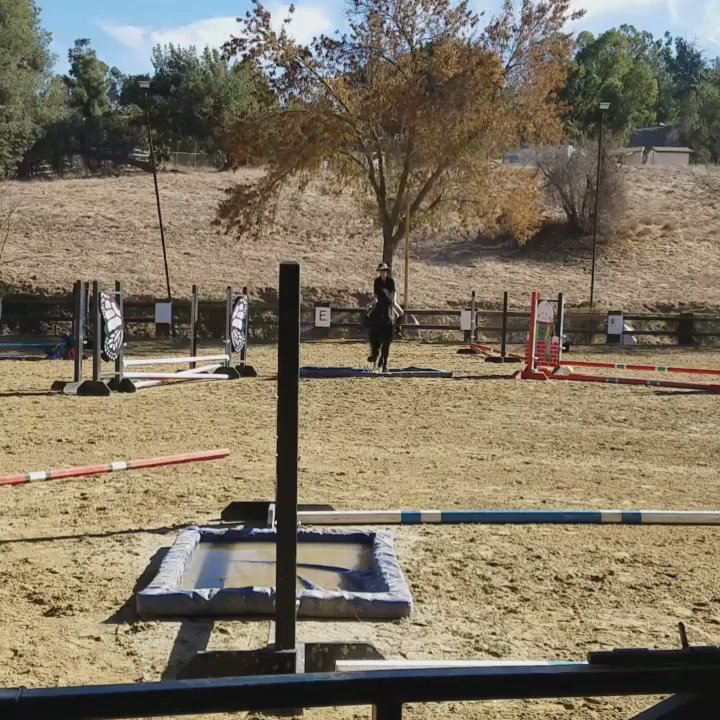 Global Sport Horse Stables - Roo being trained on the water - Horseback Riding Near Me - Temecula, California