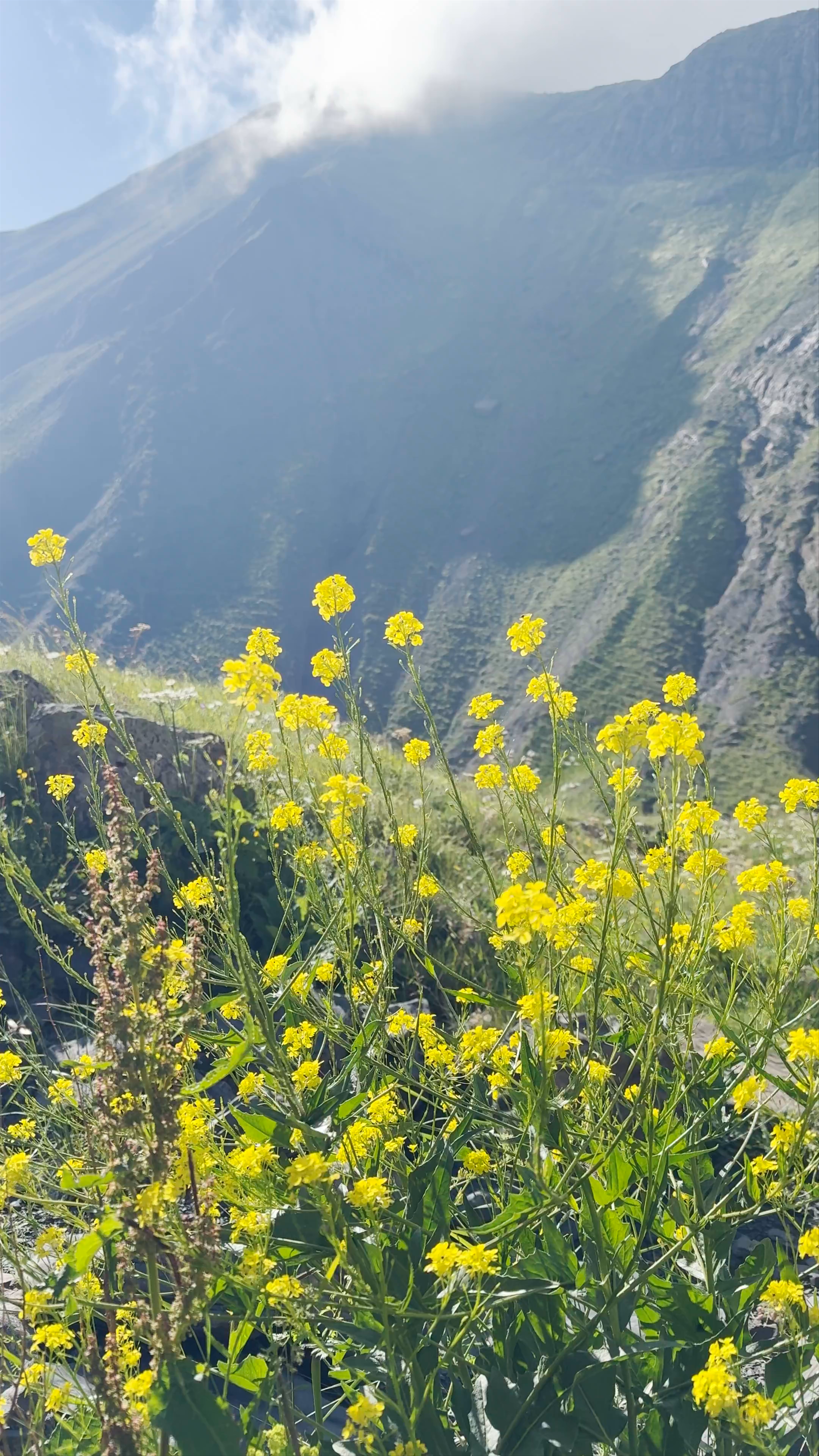 Премишди чадавур