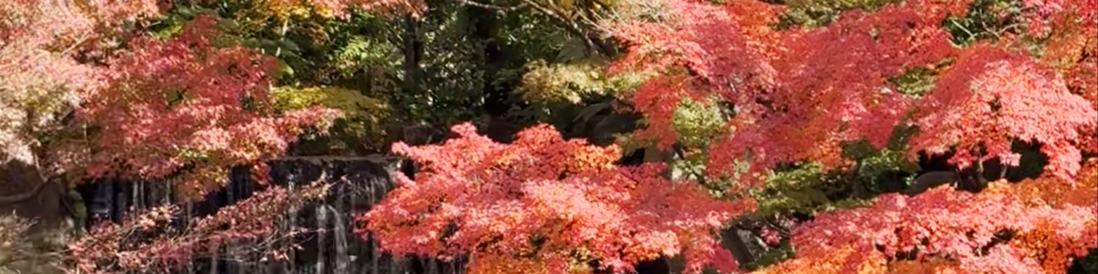 Himeji Park
