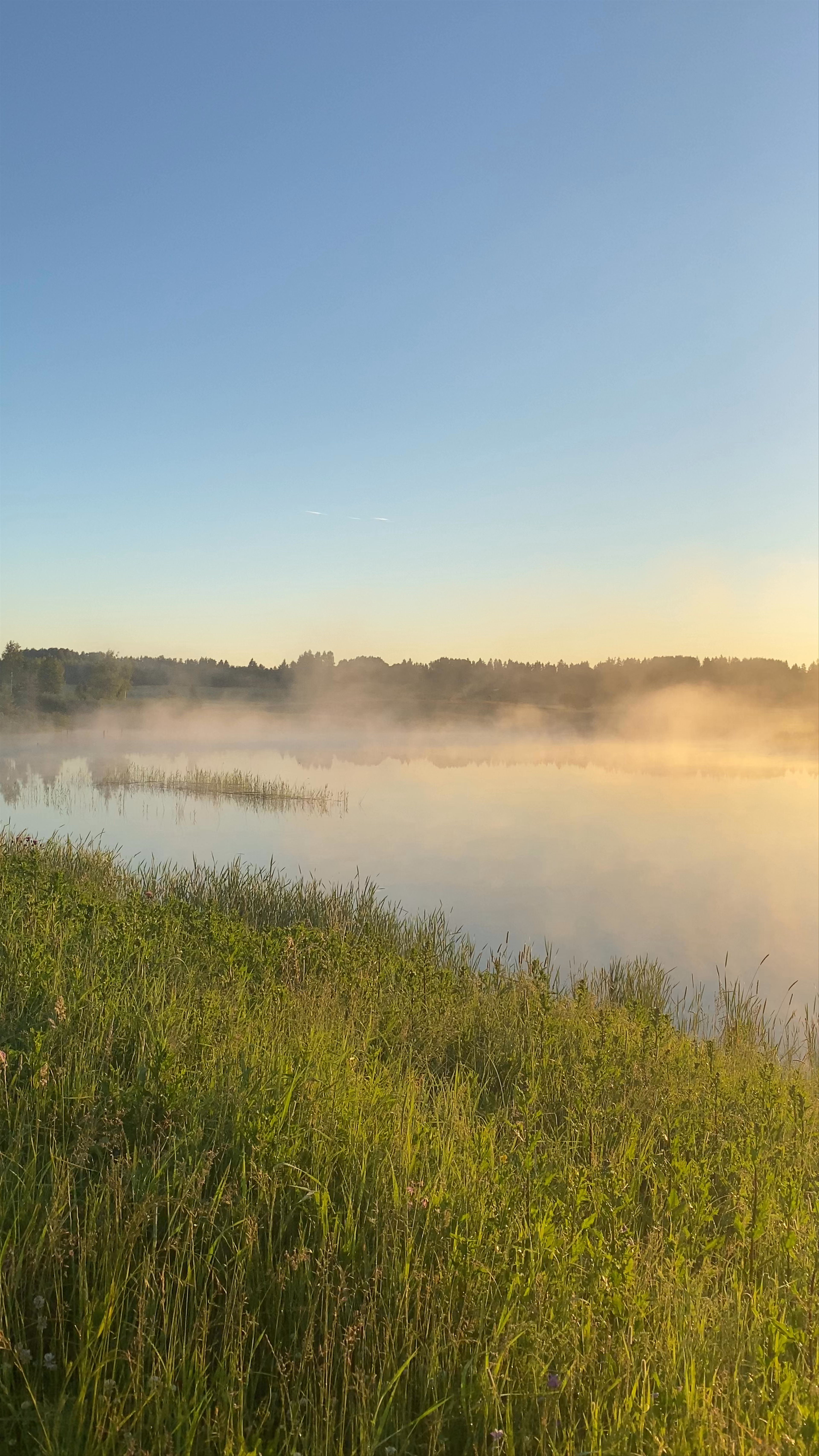 Enchanting Dawn at Cirulisi Nature Trails in Cēsis, Latvia
