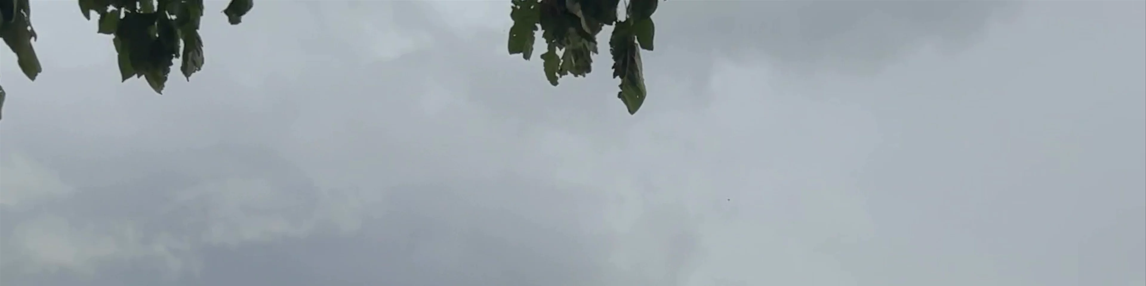 El Pital Ometepe