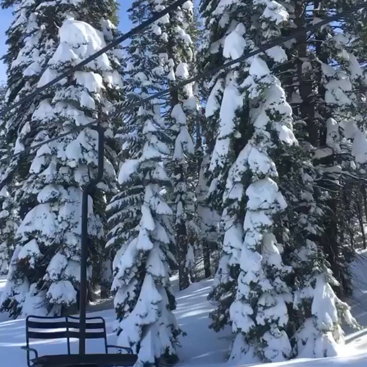Video thumbnail 5 more videos
