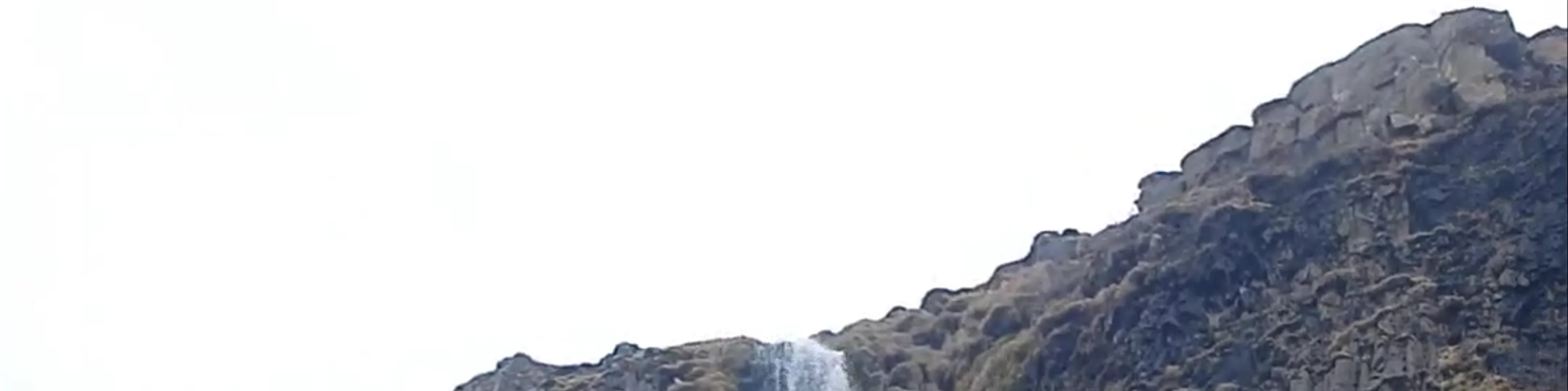 Salerni