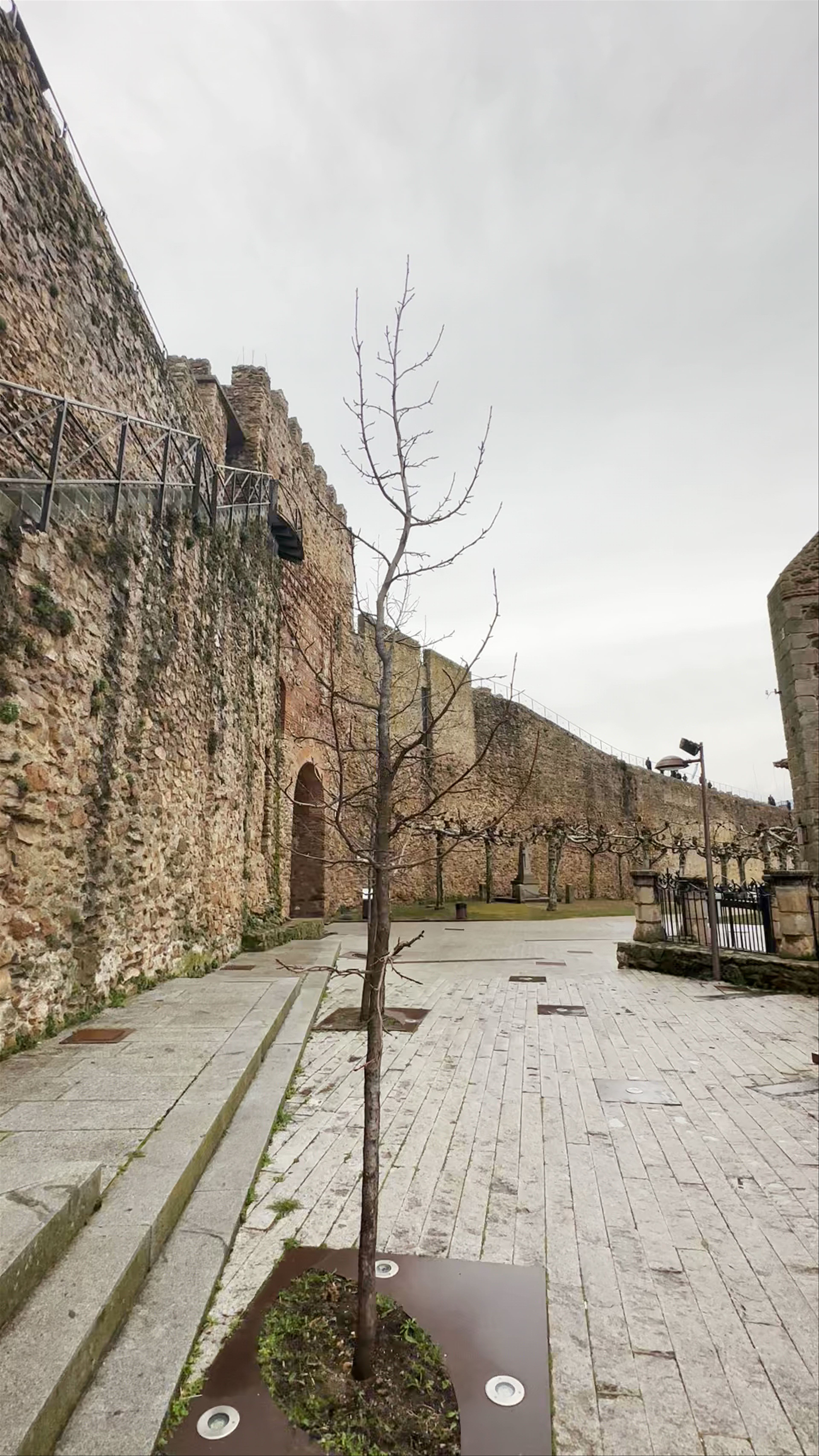 Iglesia de Santa María del Castillo
