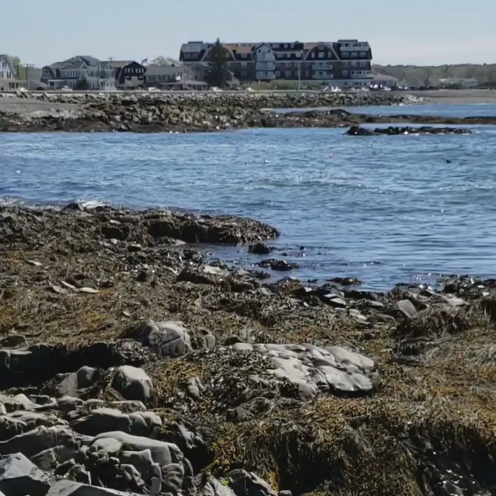 The Beach House Inn - Hotels Near Me - Kennebunk, Maine