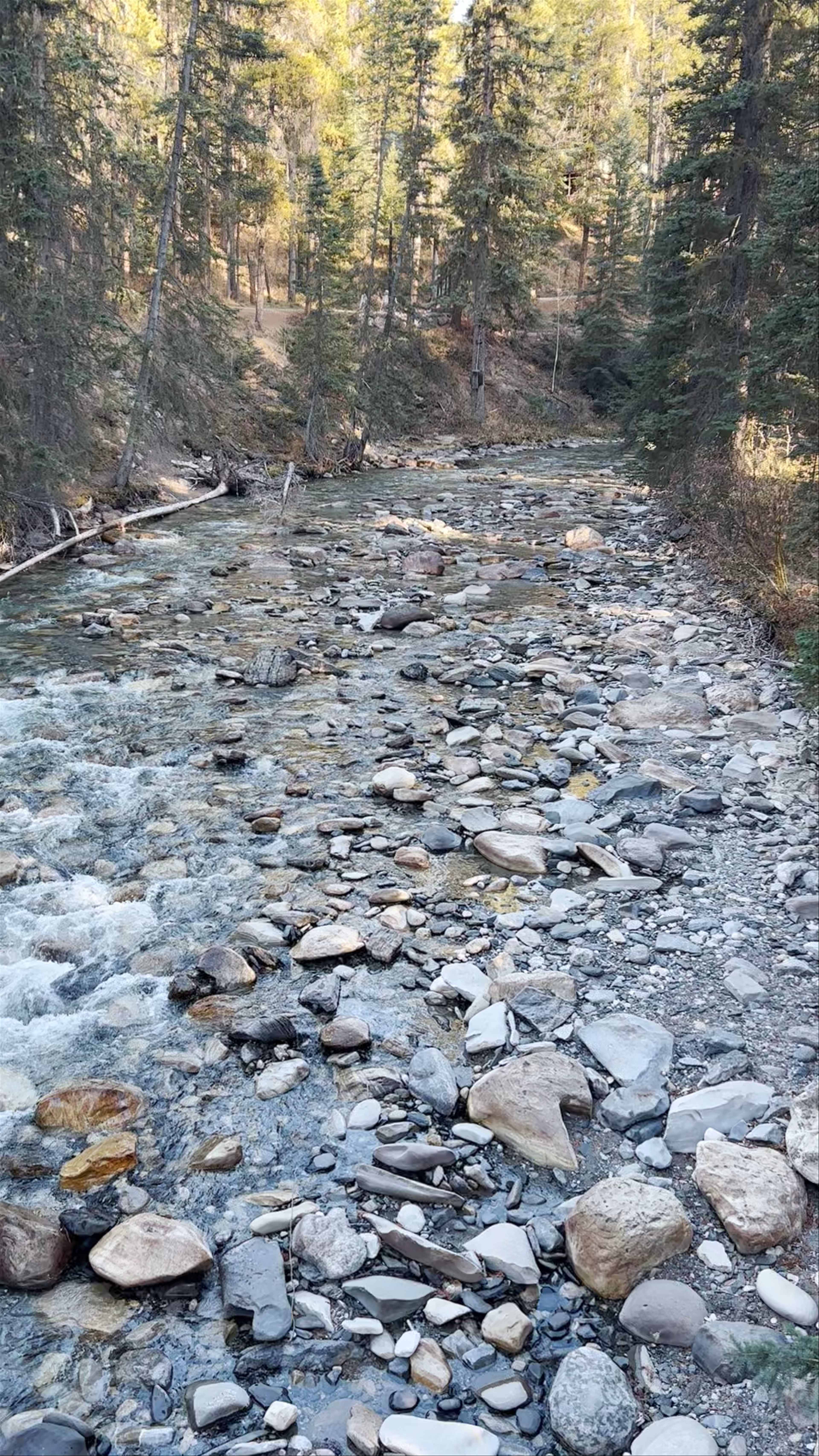 Johnston Canyon