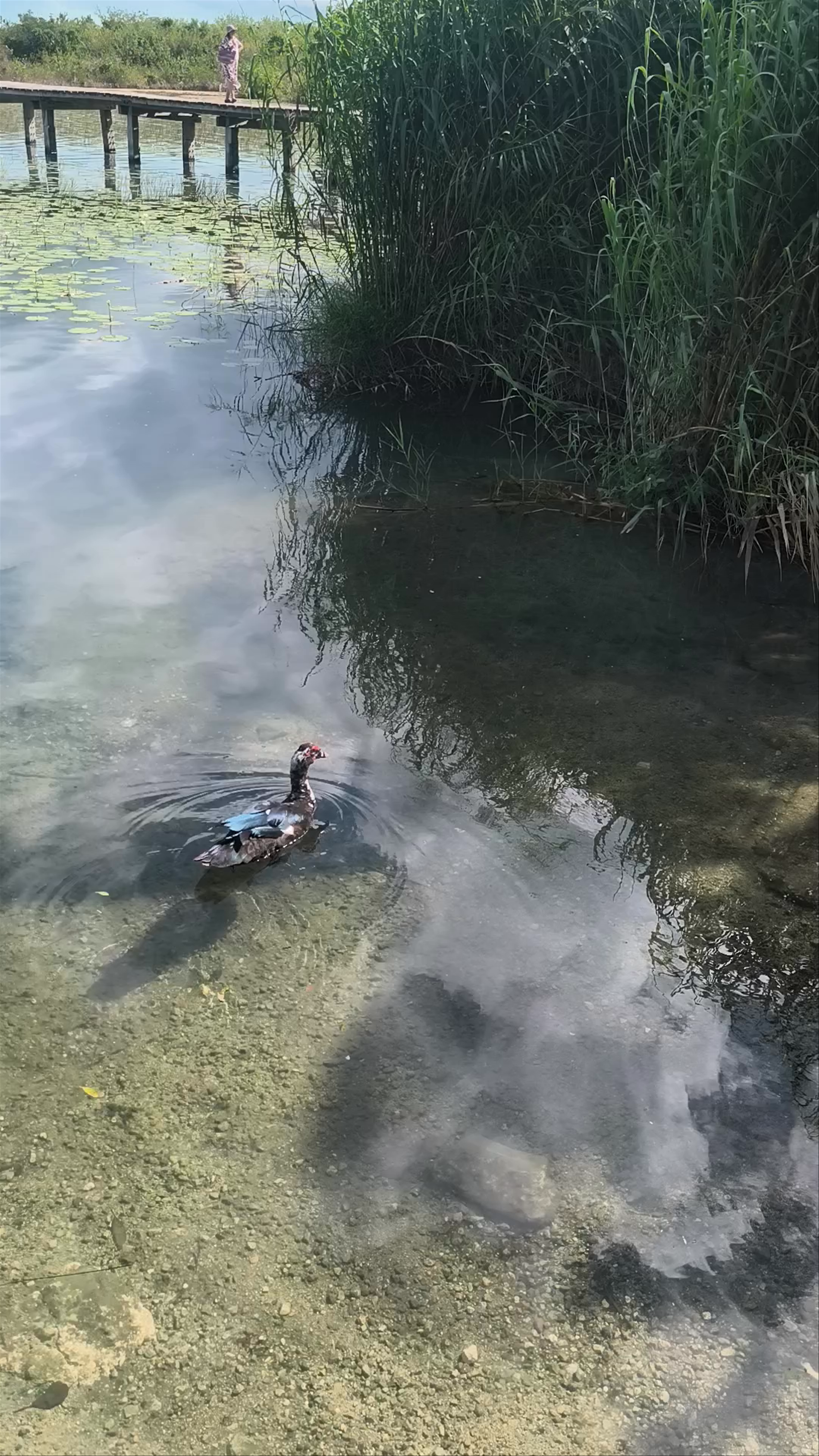 Ecoparque Bacalar
