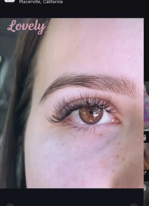 Fox Lashes - Eyelash Service Near Me