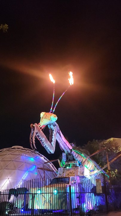Praying Mantis - Public Art Near Me - Las Vegas, Nevada