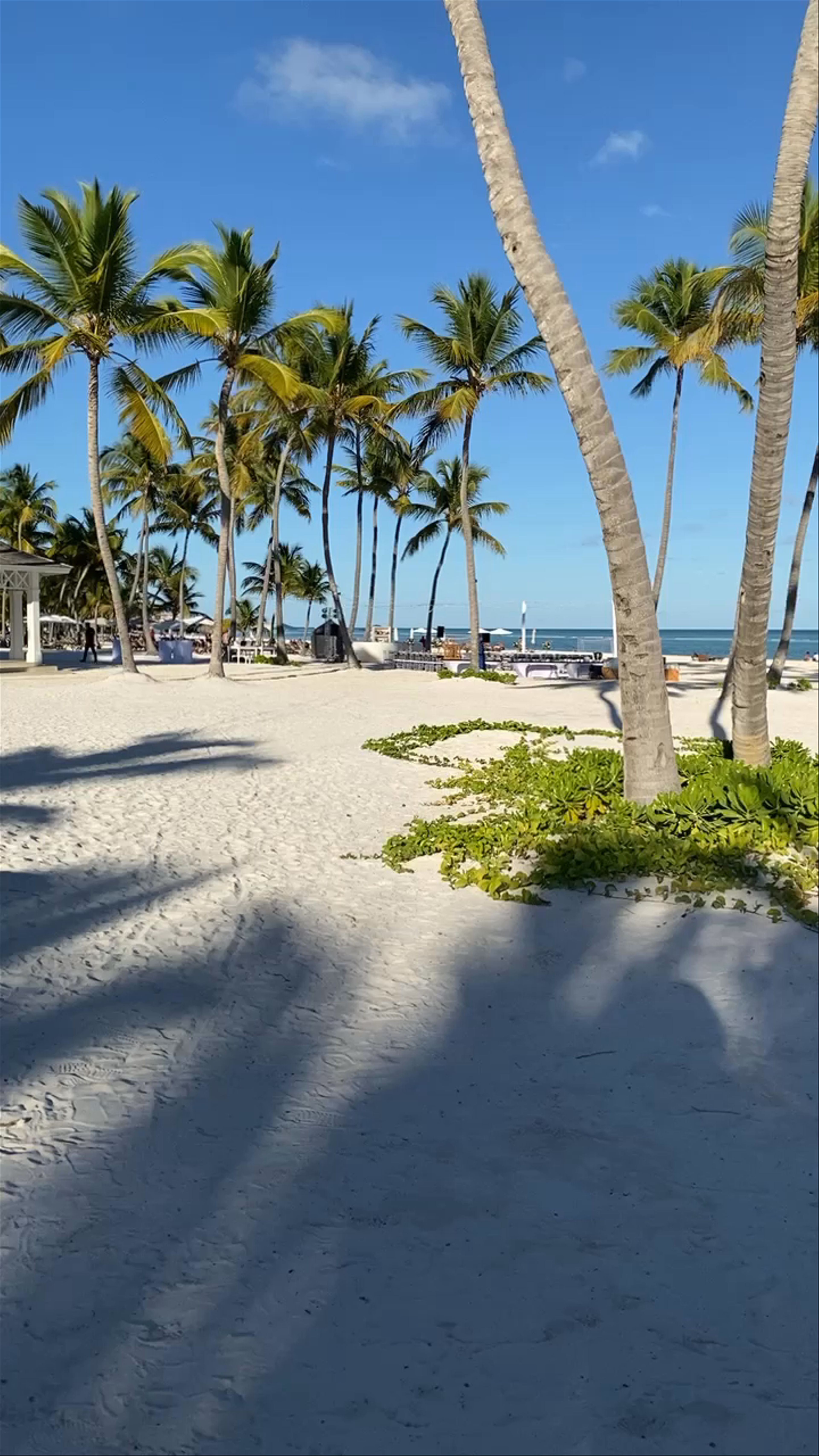 Hyatt Zilara Cap Cana