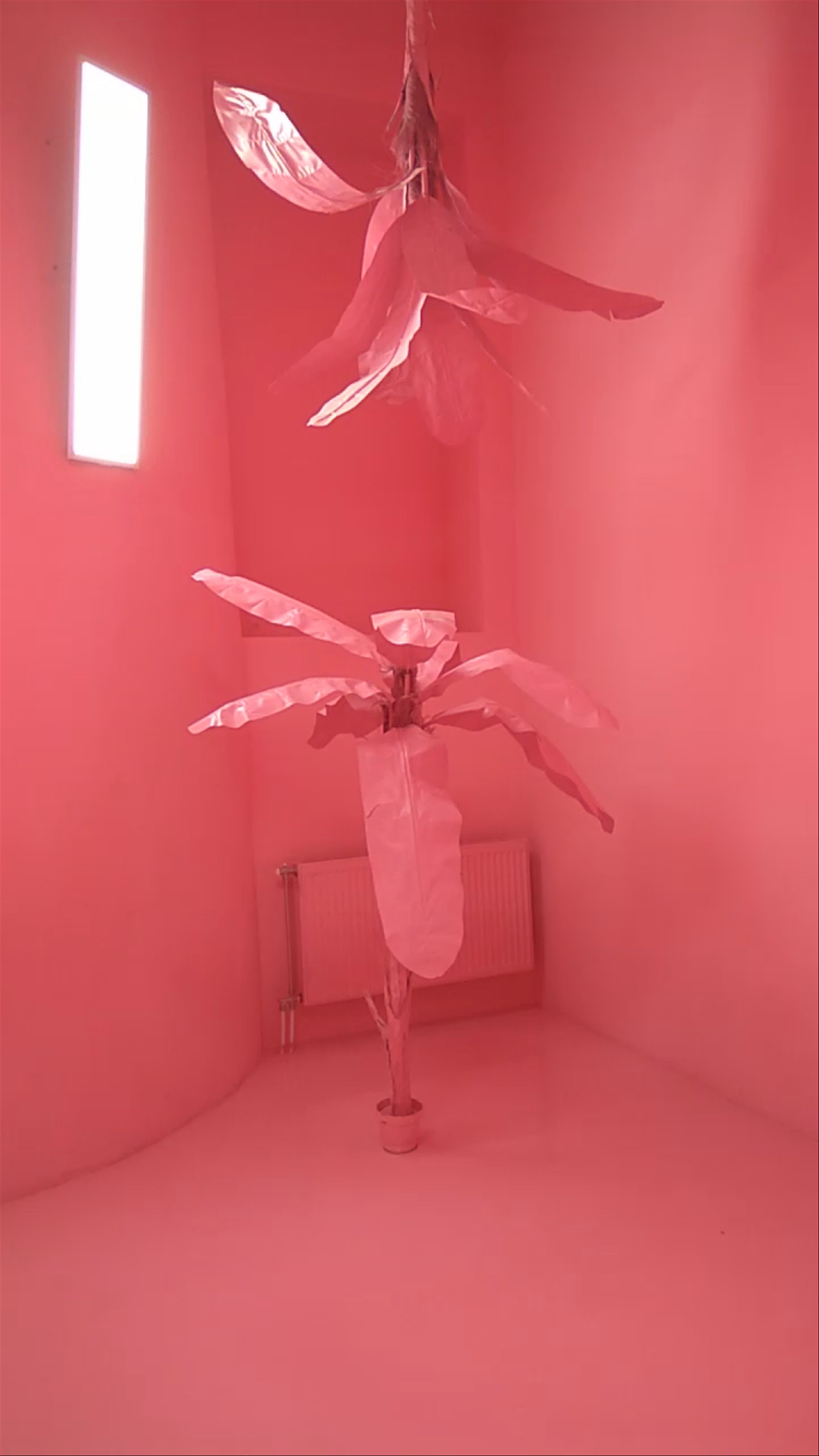 Museum of Sweets and Selfies