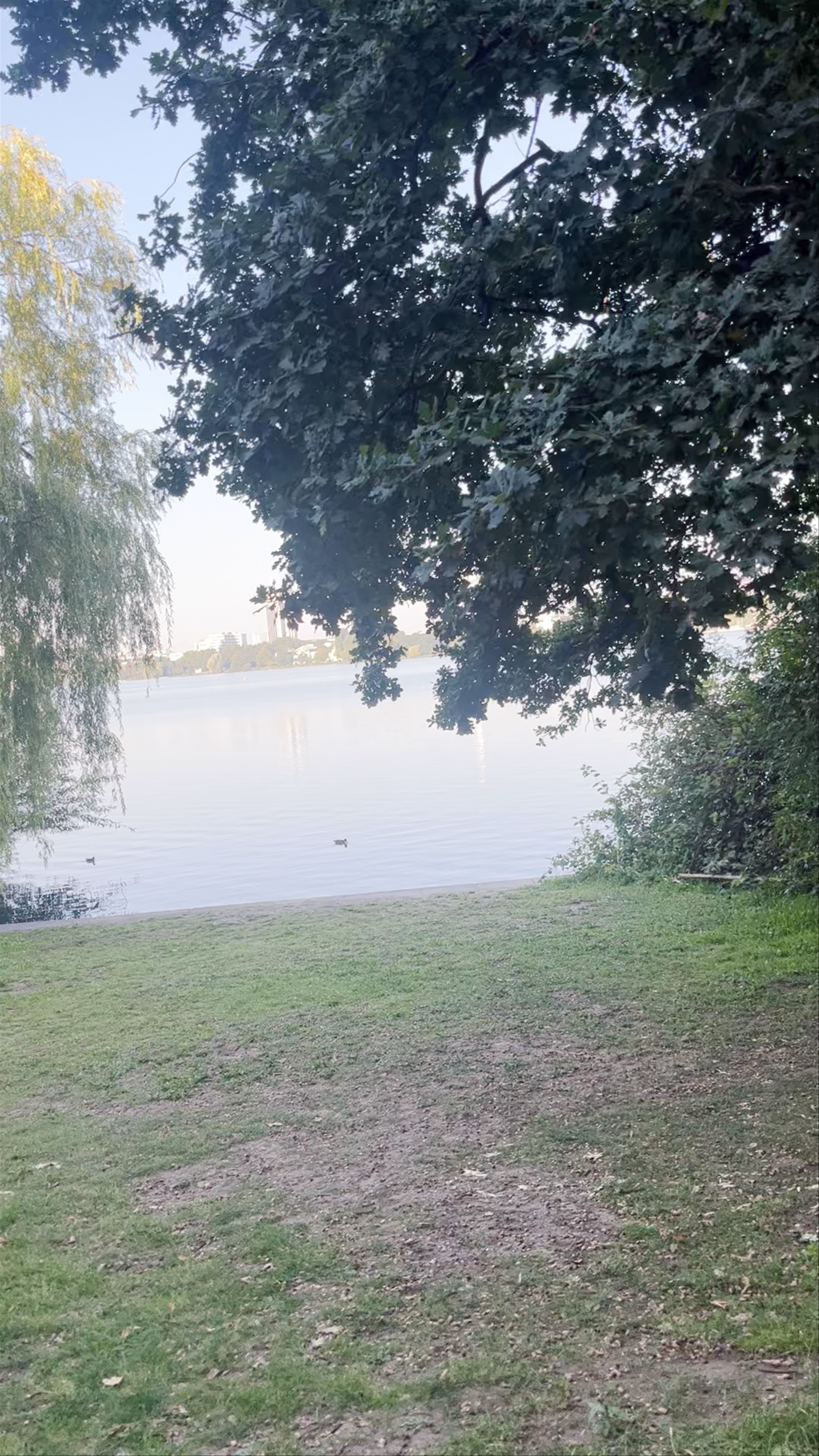 Aussichtspunkt Picknickwiese