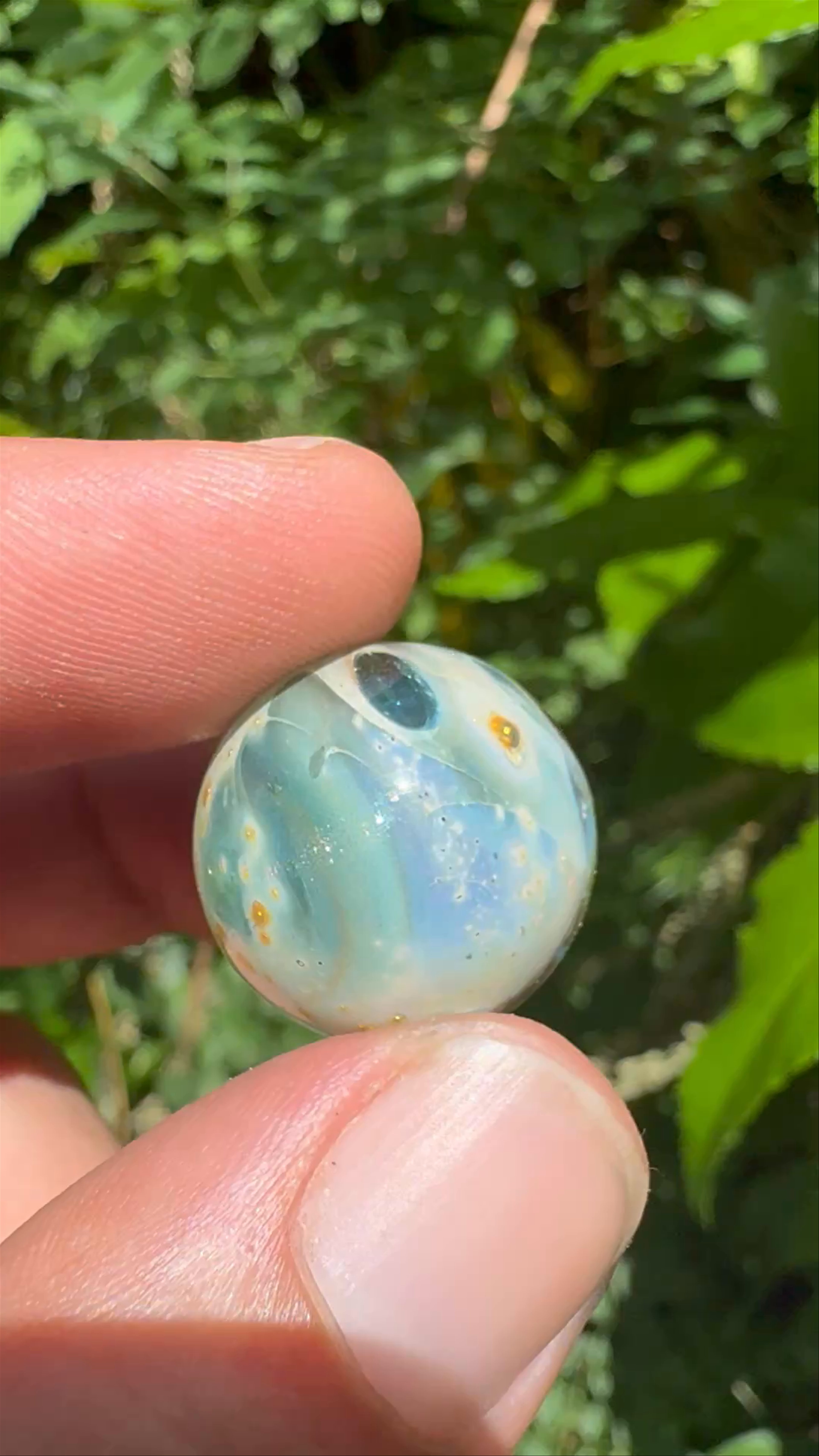 Preview pic of Planetary orb #1 Terravera