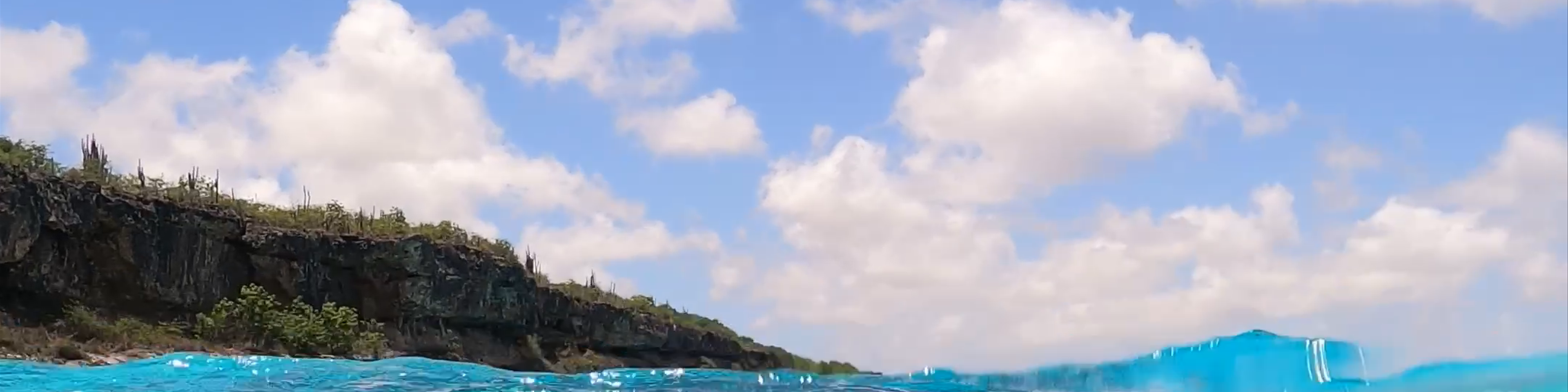 Bonaire, Sint Eustatius and Saba